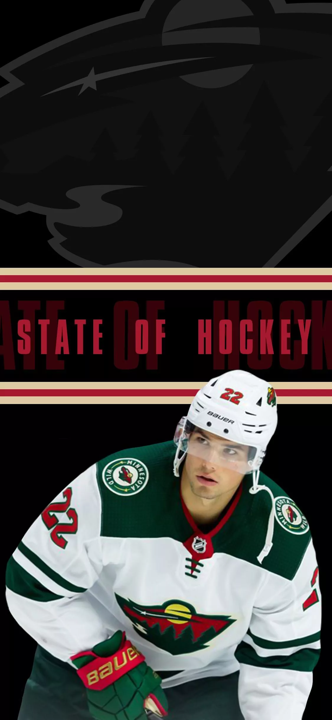 Minnesota Wild Wallpaper
