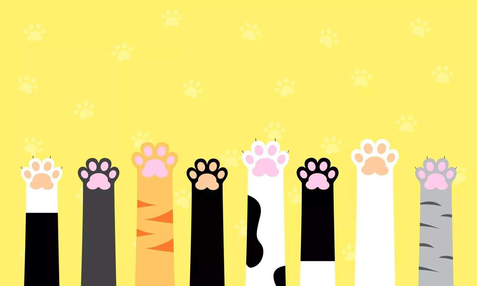 Cat Wallpaper Vector Art, Icon