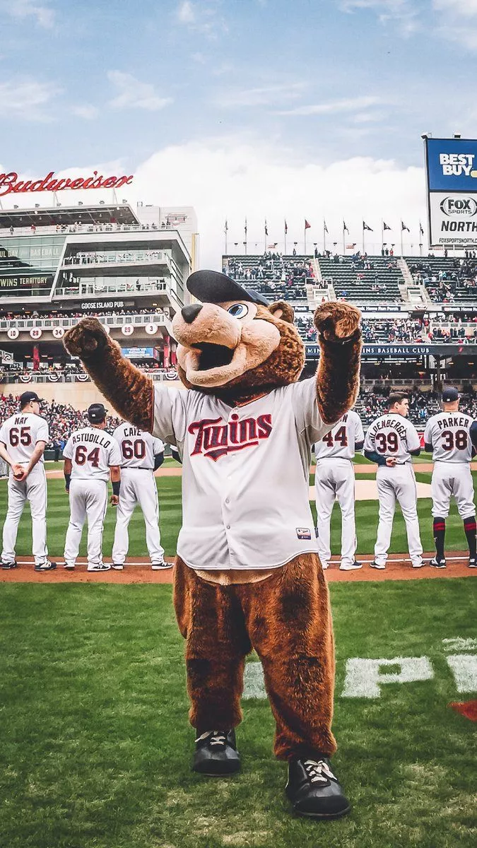 Minnesota Twins