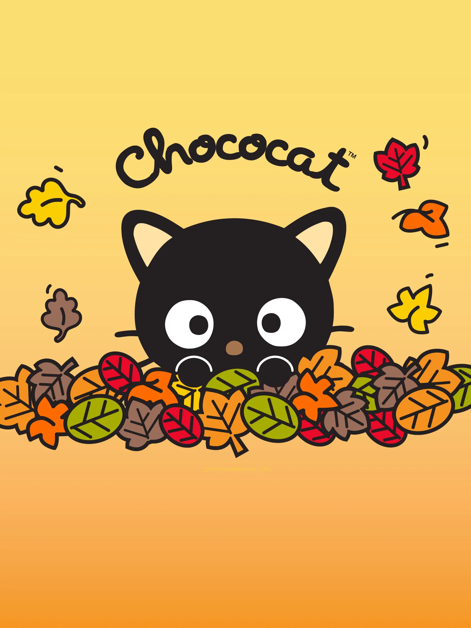 CHOCOCAT