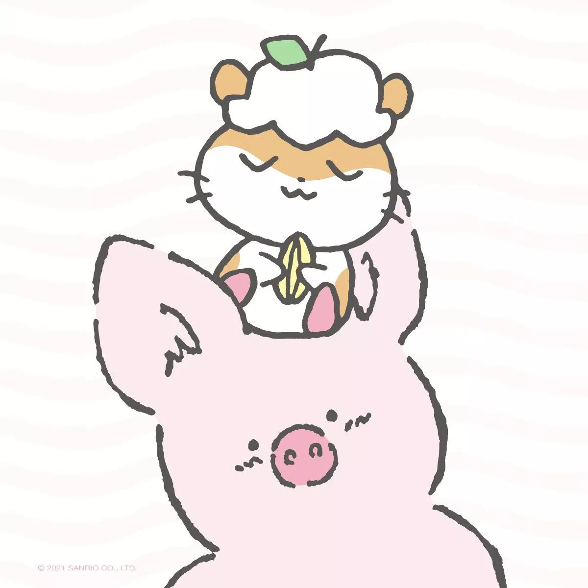 Sanrio Birthday to