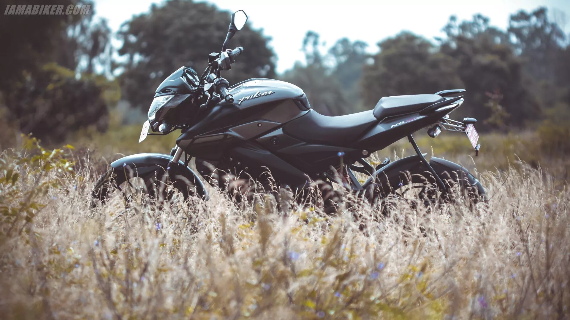 Pulsar 160 Ns HD Pic 2024