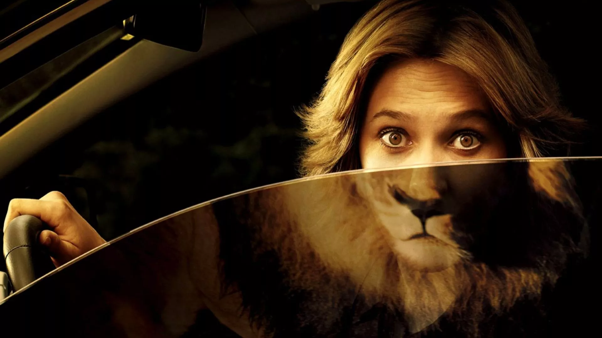 Funny Girl Lion Face On Mirror HD Funny