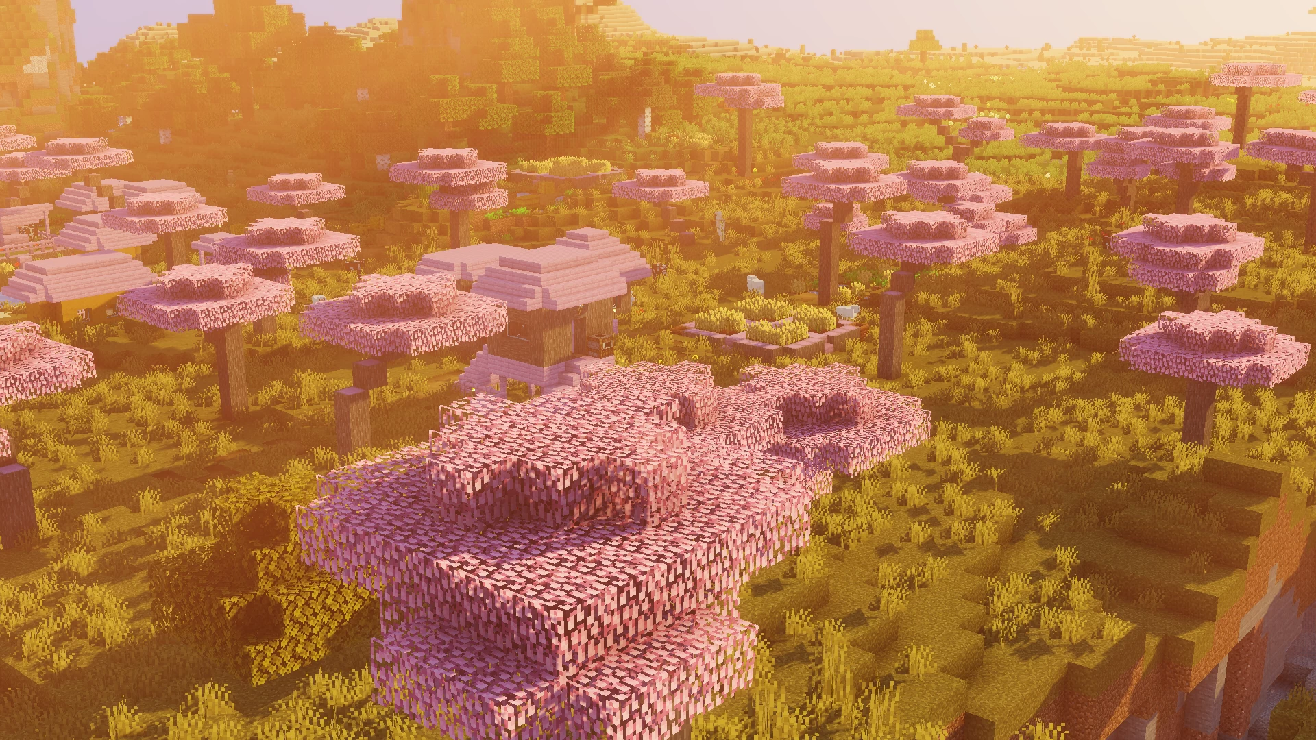 Full Cherry Blossom Trees Minecraft