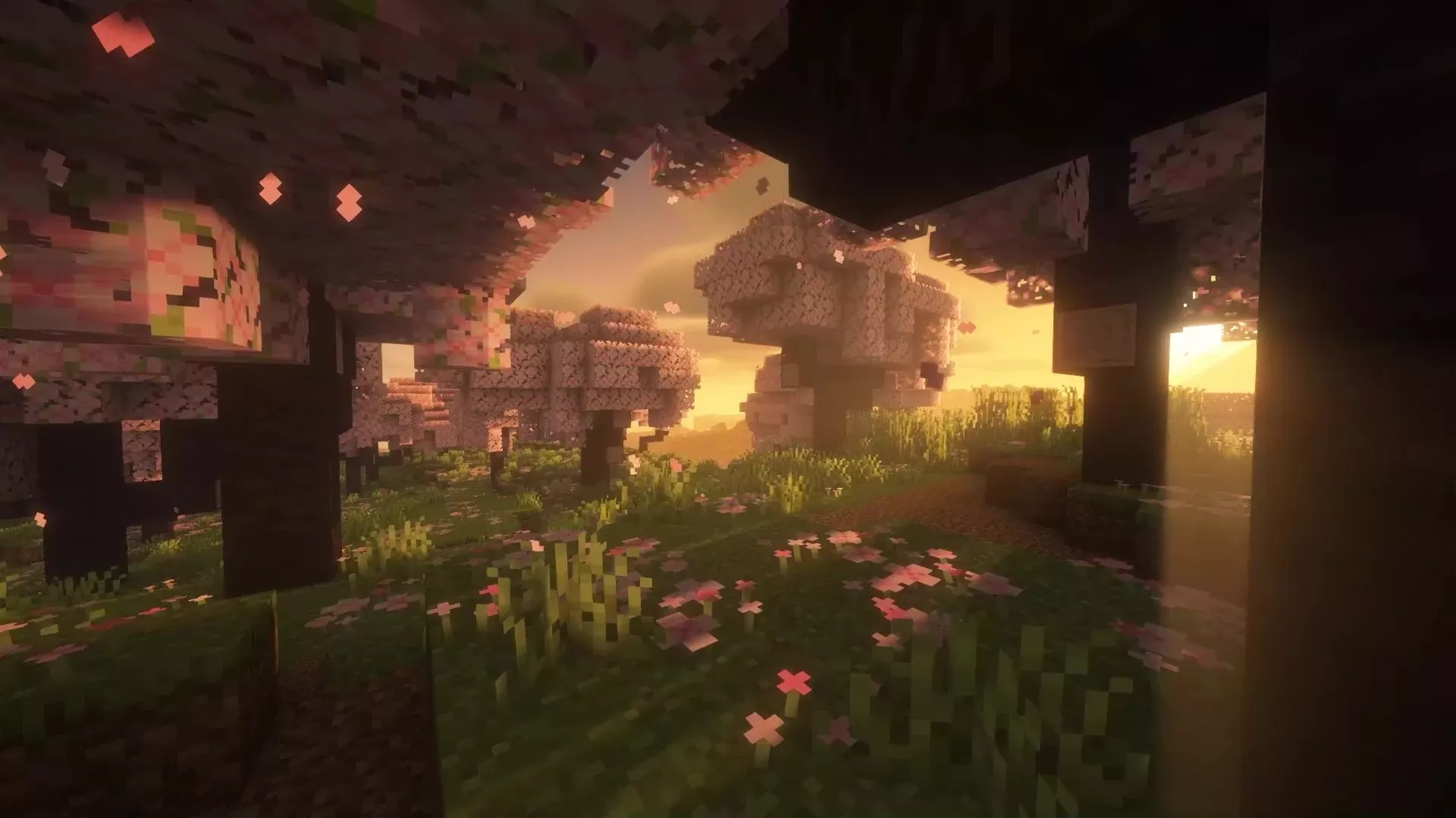 Cherry Blossom Minecraft Live Wallpaper