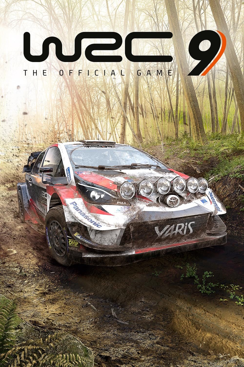 WRC 9: World Rally Championship Video
