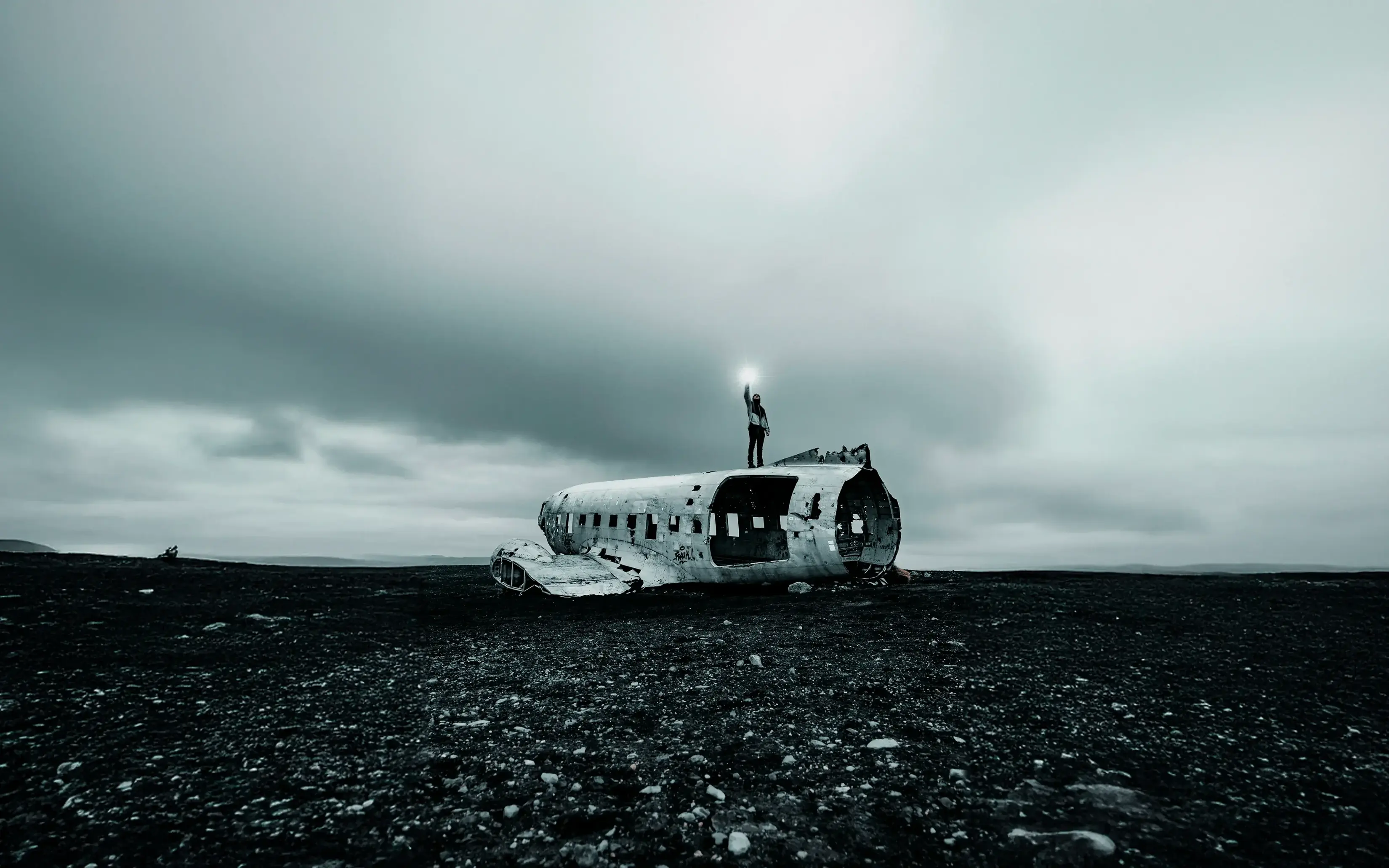 Crashed Airplane Aeroplane Skeleton
