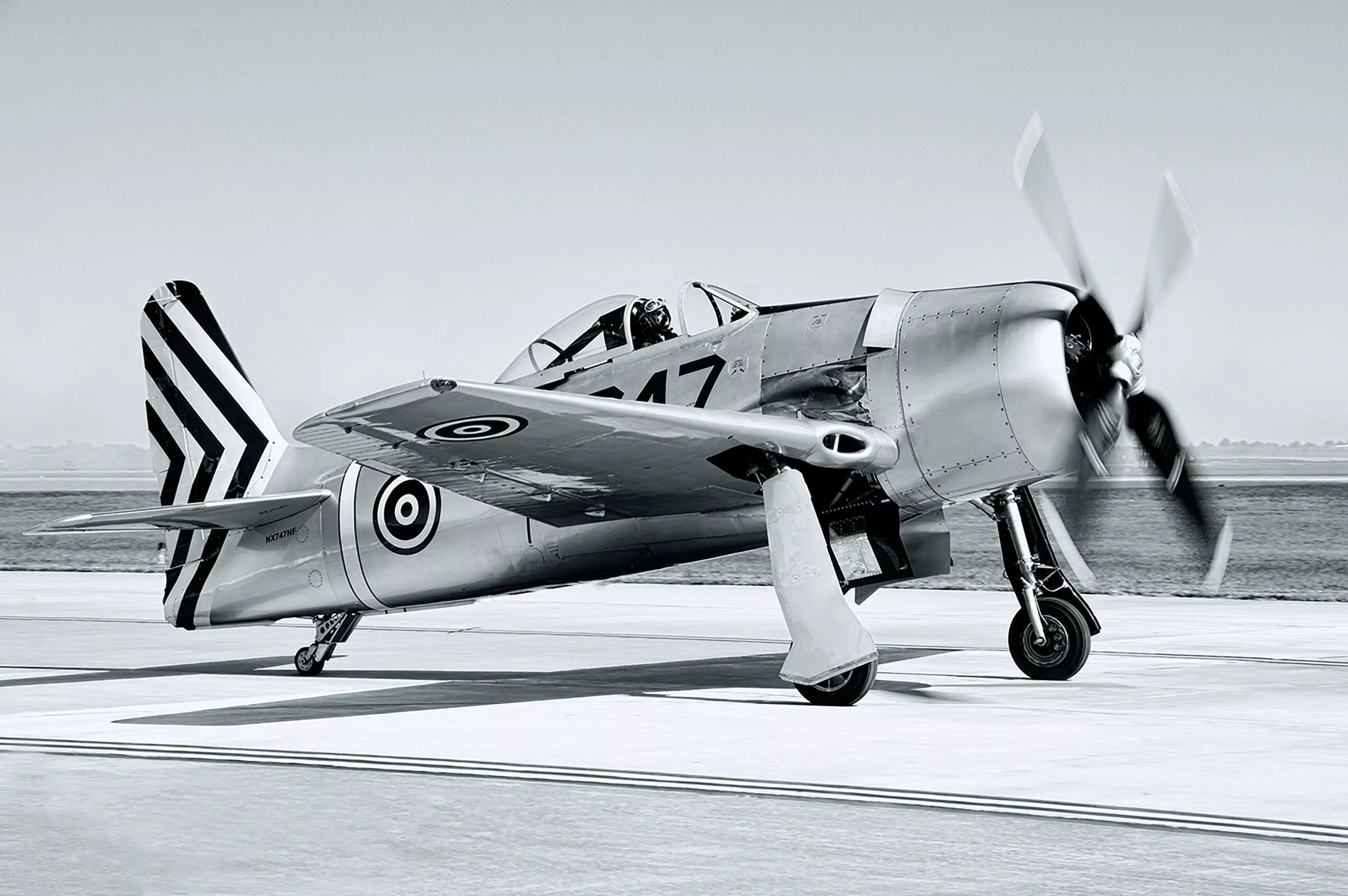 Grumman F8F Bearcat Aeroplane 4K