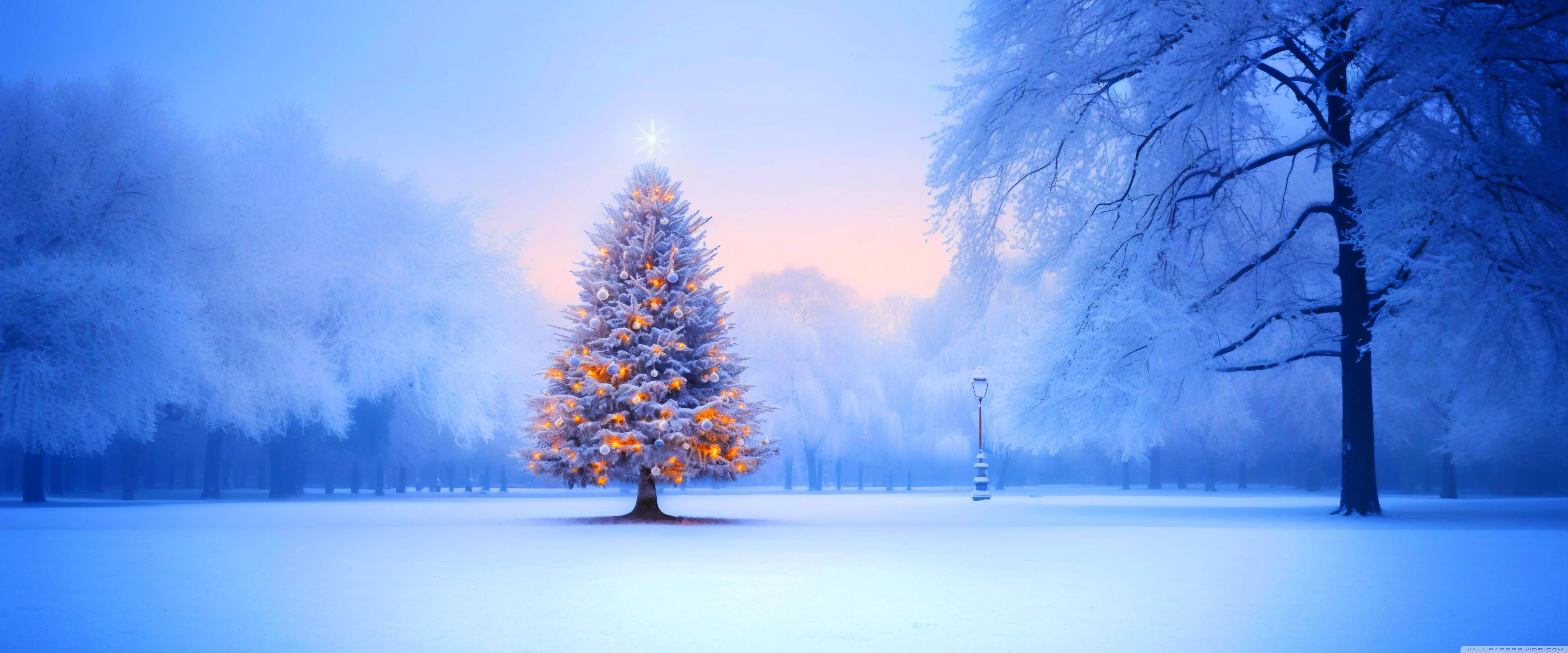Ultra HD Wallpaper for 4K UHD TV