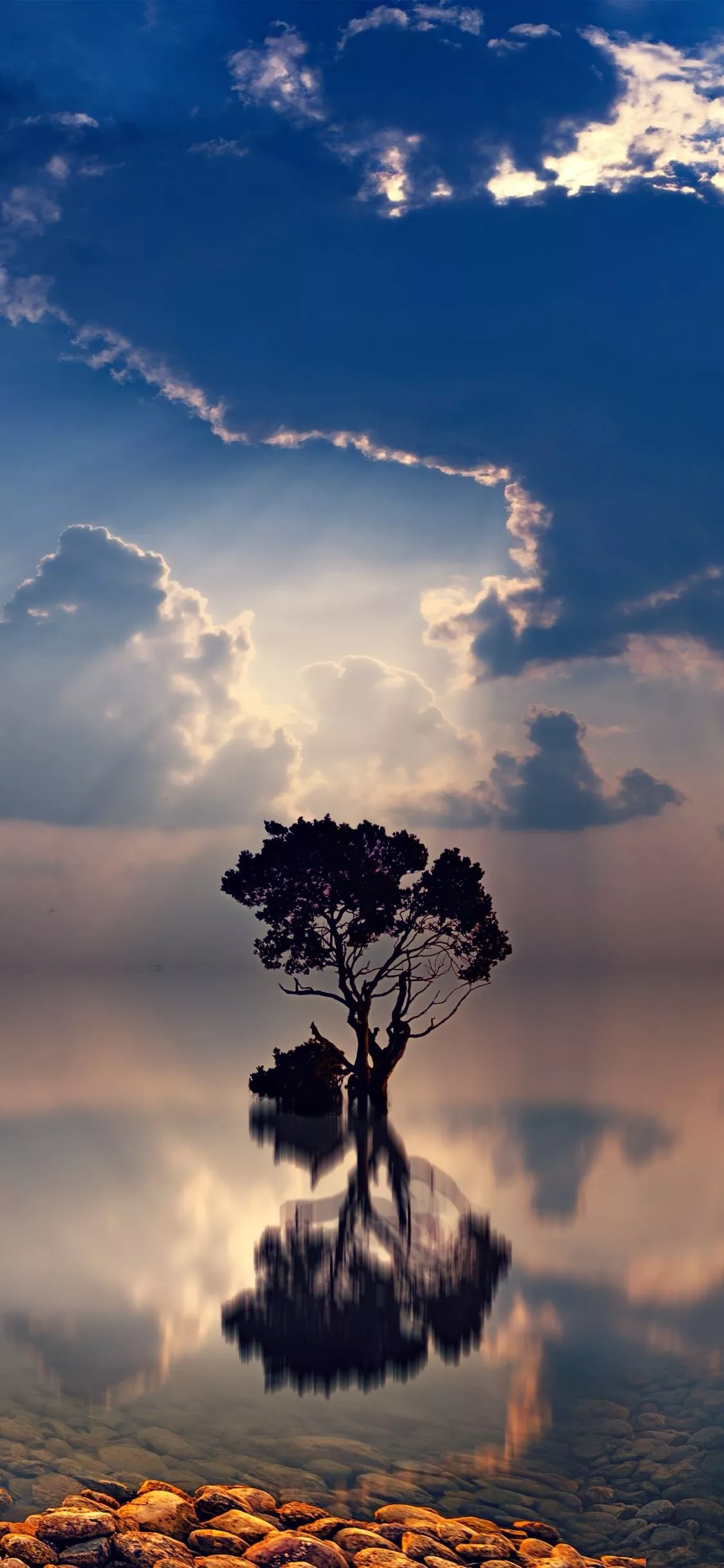 Sunshine wallpaper for mobile phone