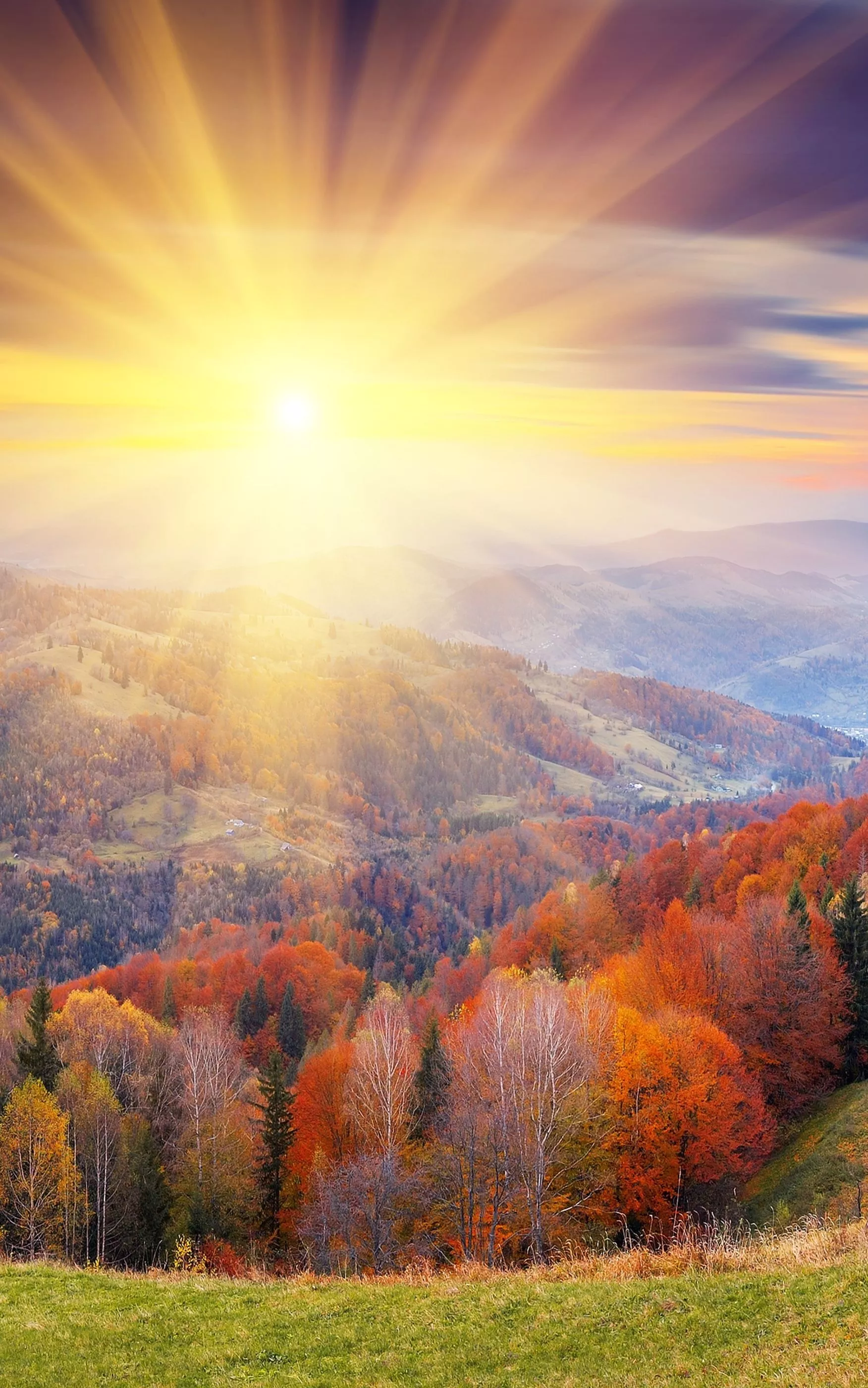 Mobile wallpaper: Nature, Sun, Fall