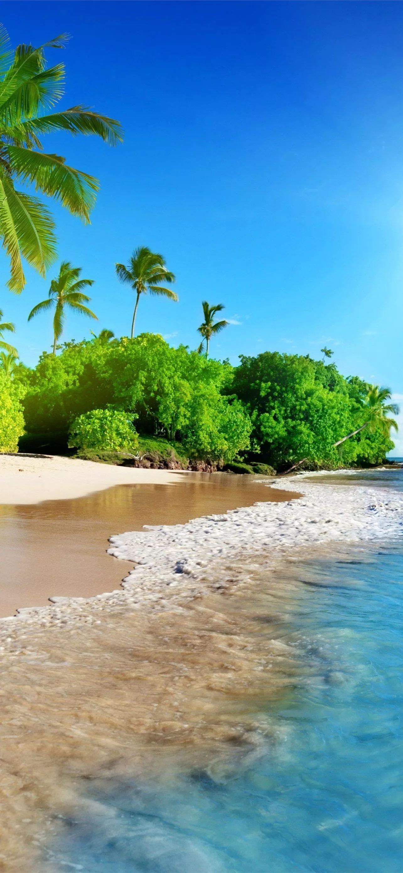 Best Sunshine coast iPhone HD