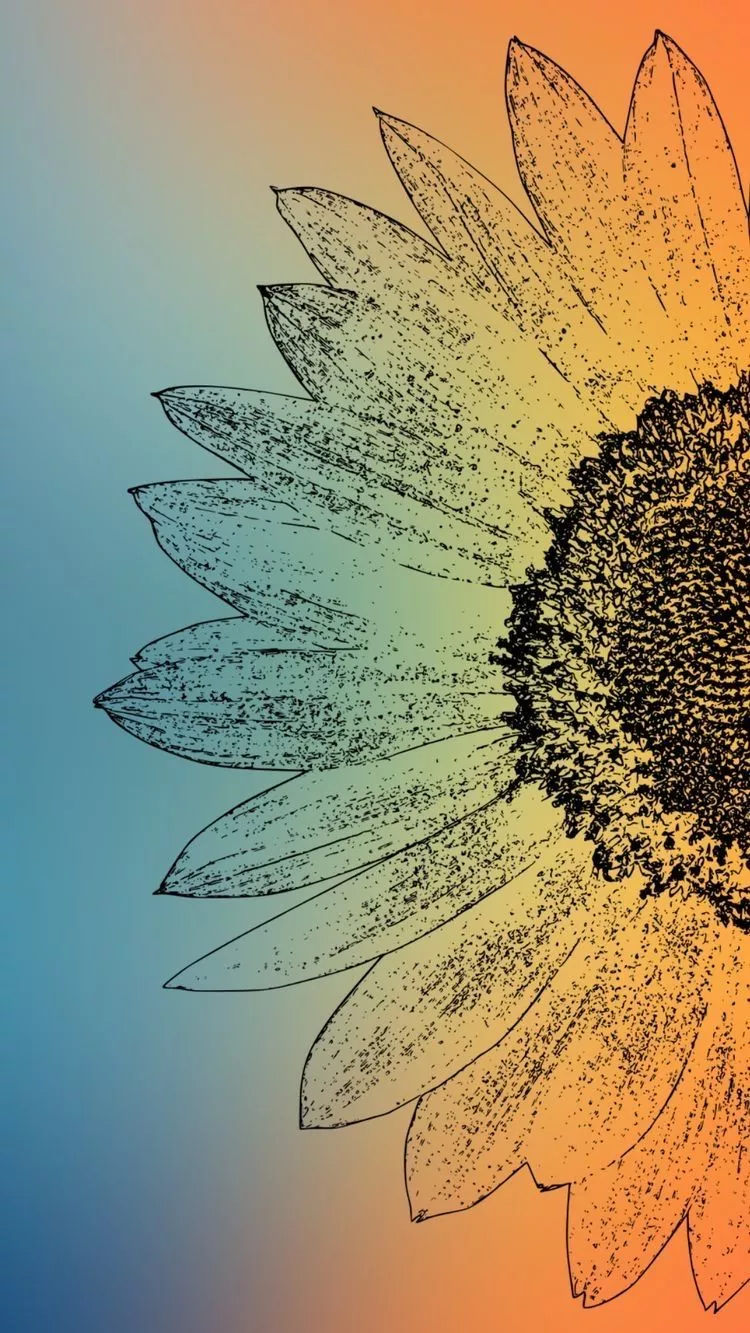 Sunflower Drawing on Blue and Orange