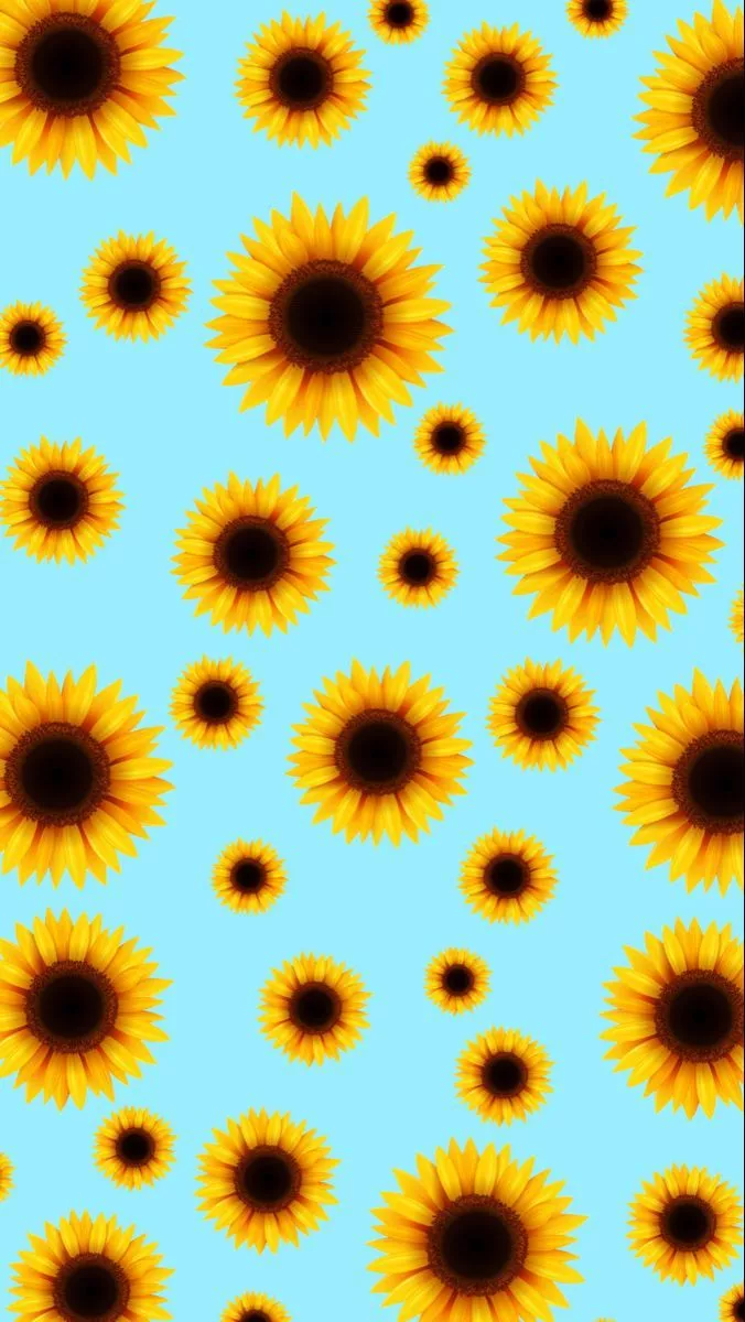 Sunflower wallpaper made