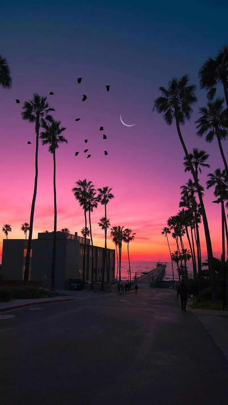 Sunset beach, awesome, beach, colorful