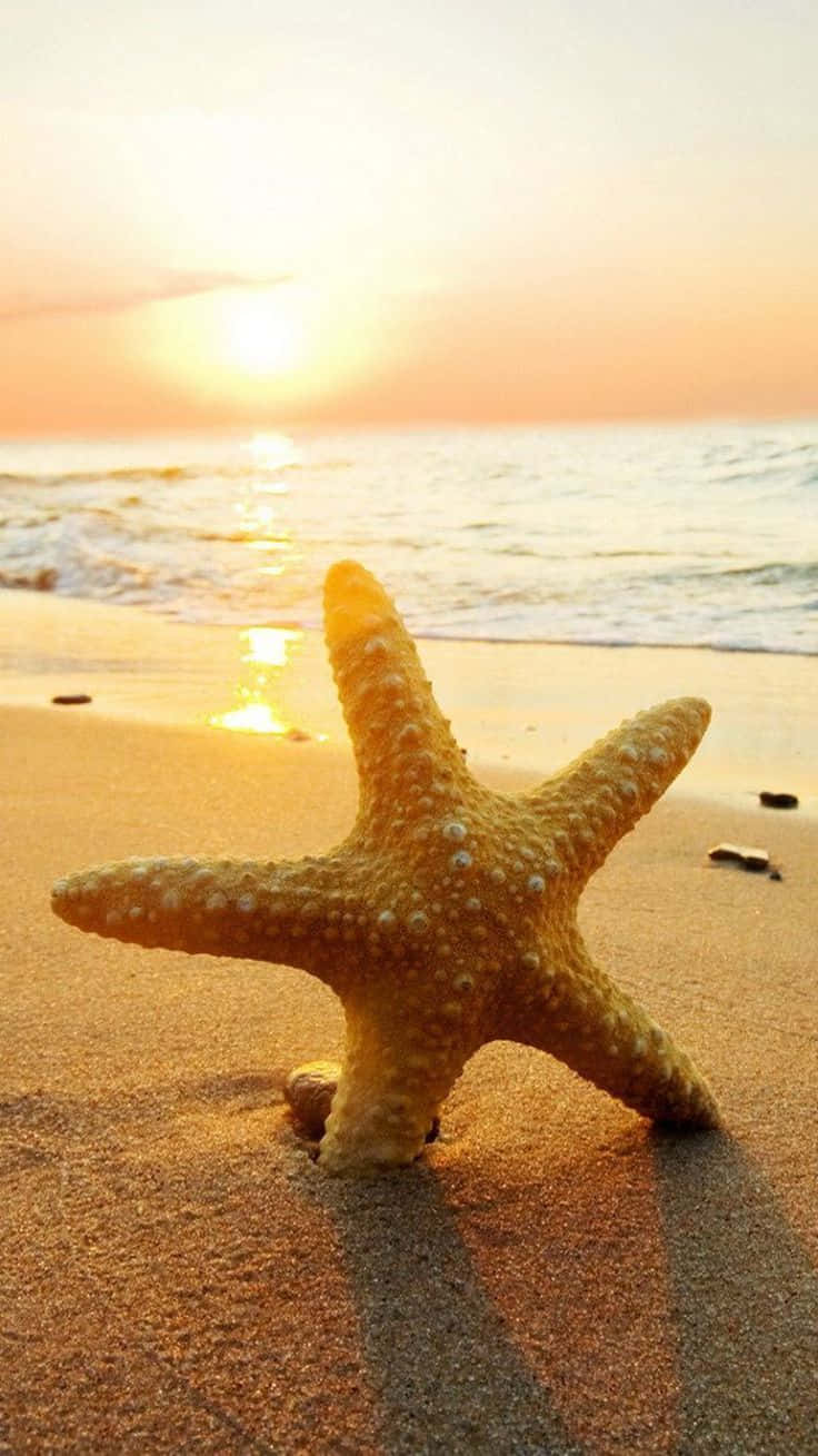 Beach Phone Wallpaper