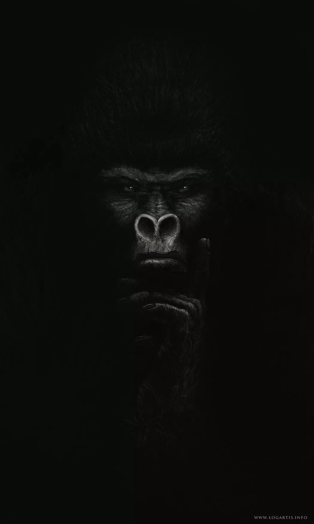 Google Image Result for