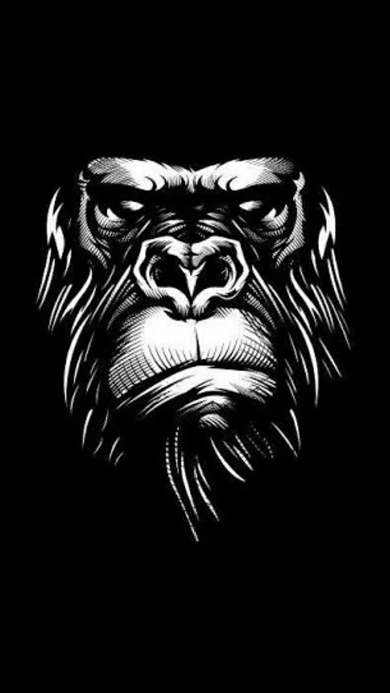 HD gorilla black wallpaper