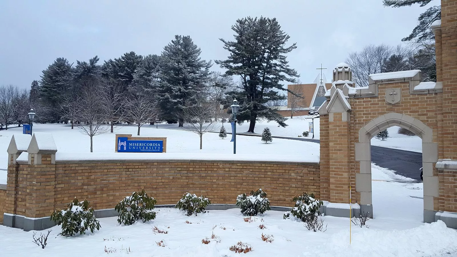 Winter Campus 2022. Misericordia