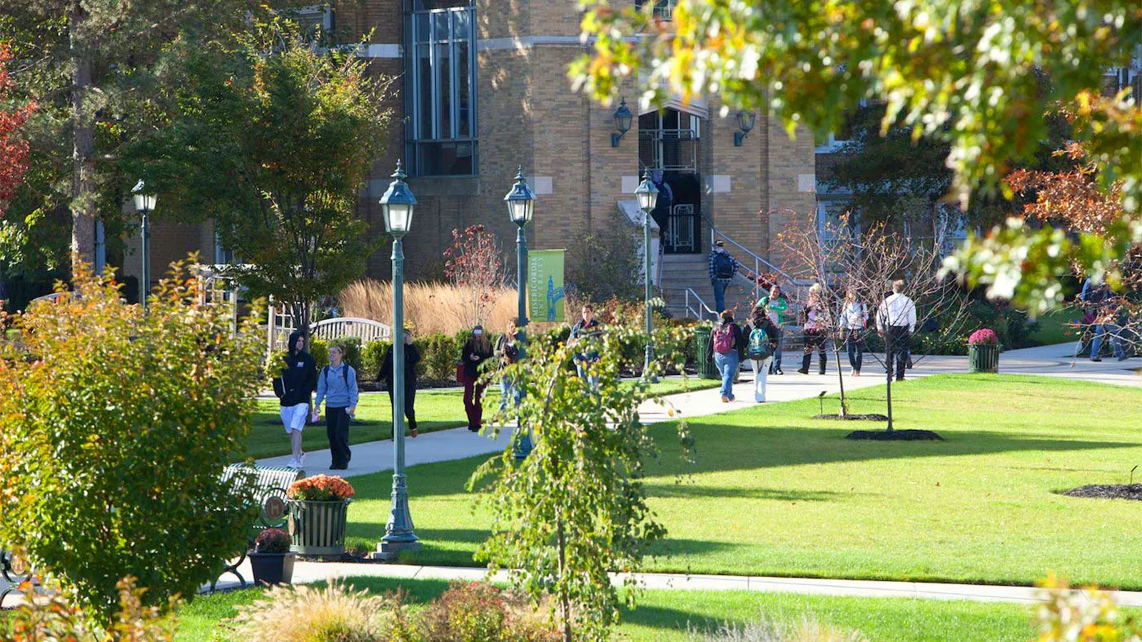 Misericordia University. Education