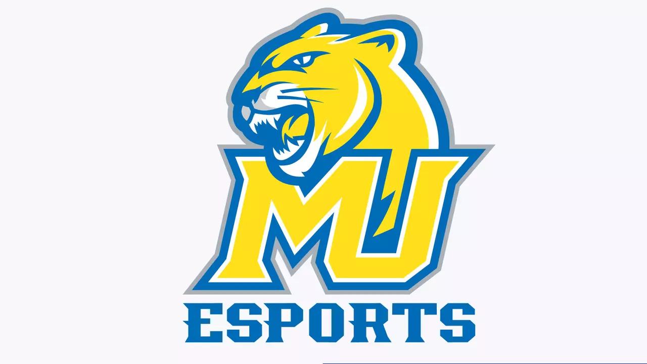 Misericordia University Athletics