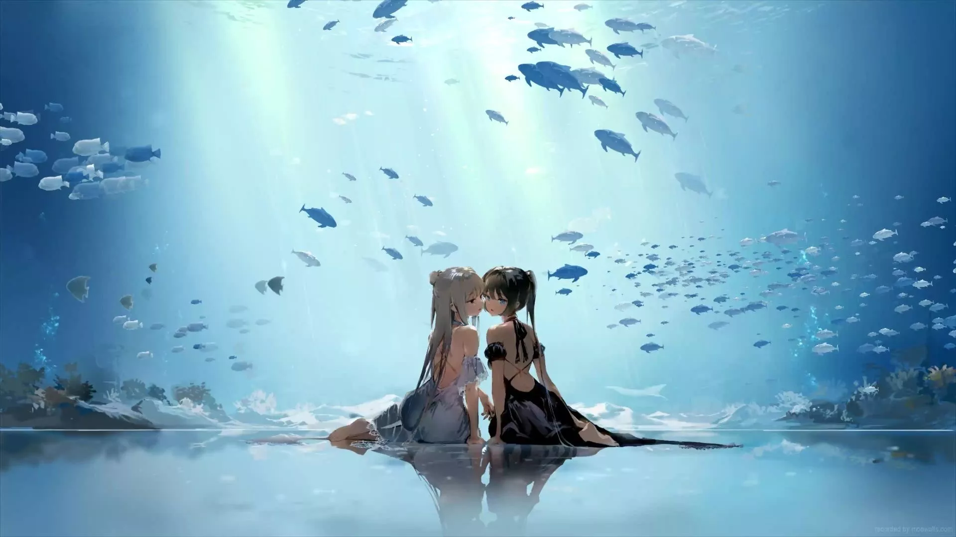 Anime Girls Aquarium Live Wallpaper