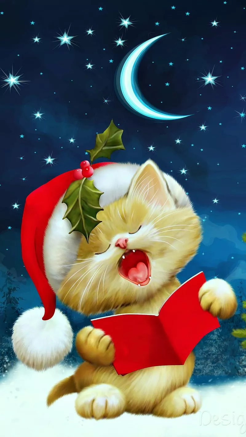 Christmas cat, cat, christmas, moon, HD