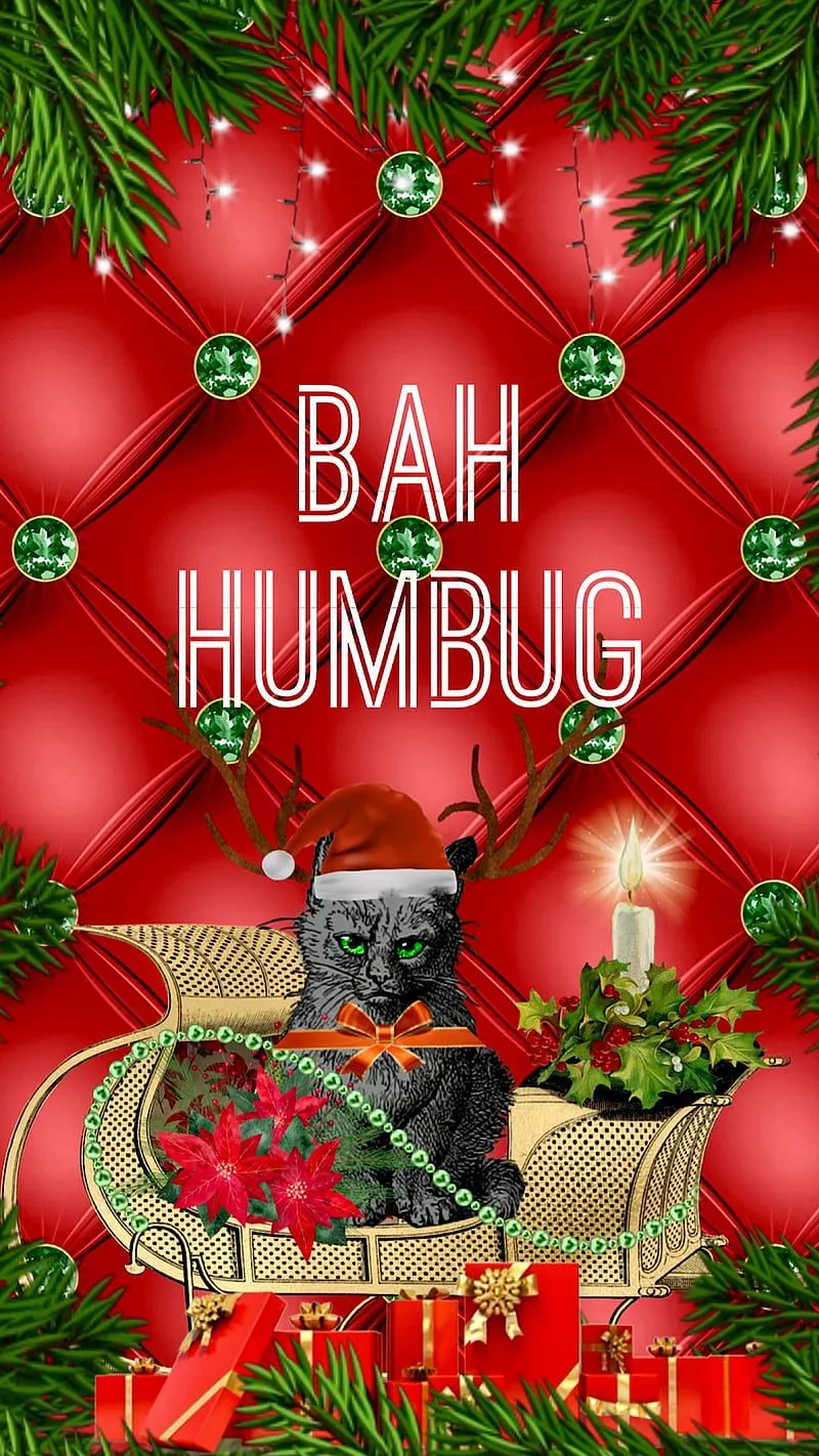 Bah Humbug Cat”, Christmas cat
