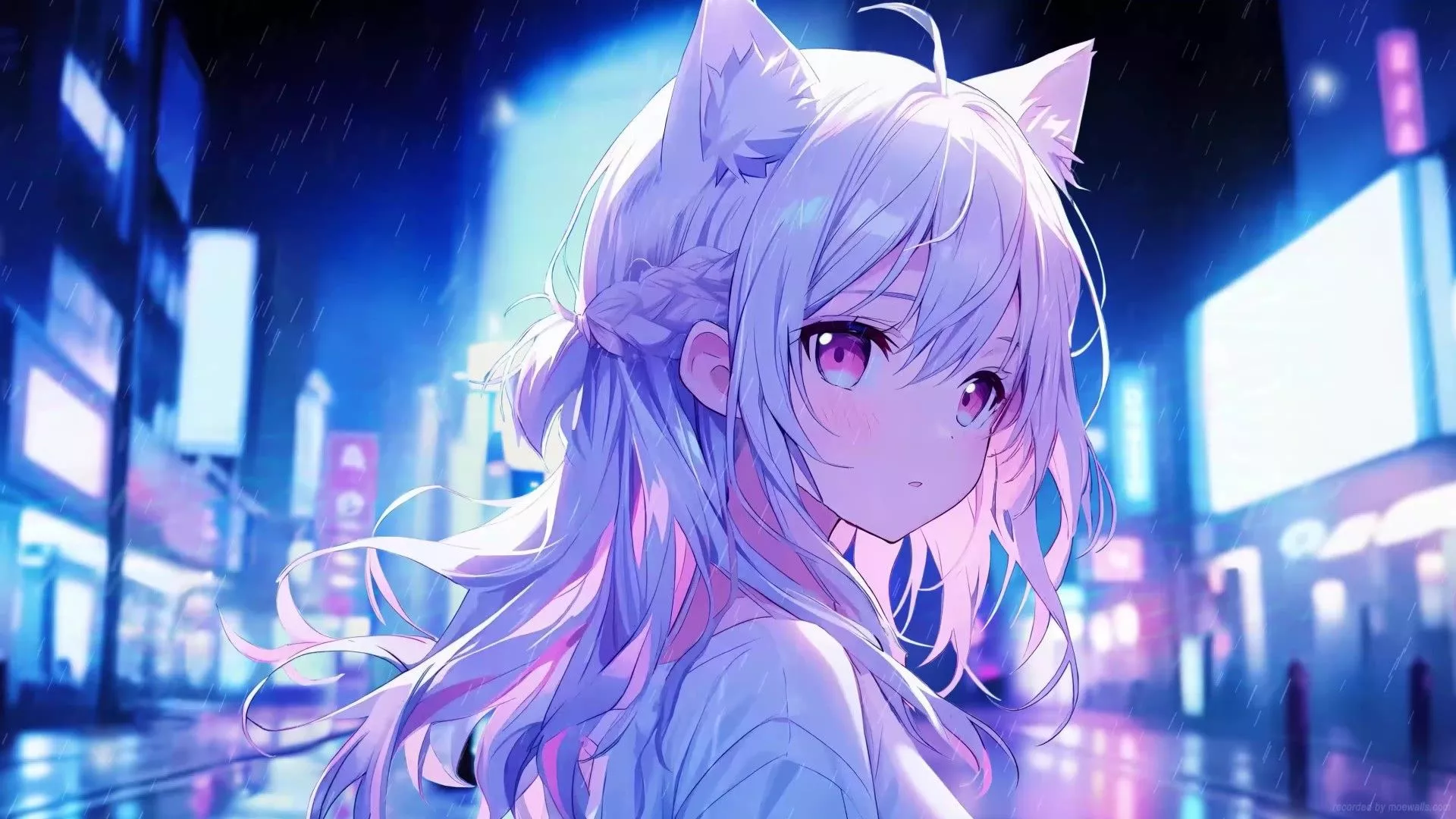 Neko Live Wallpaper, Animated