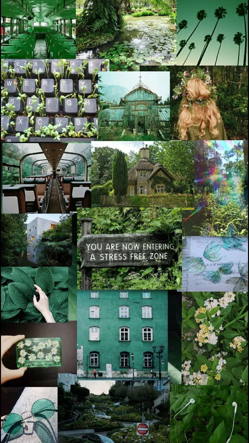 Green Aesthetic, nature, HD phone