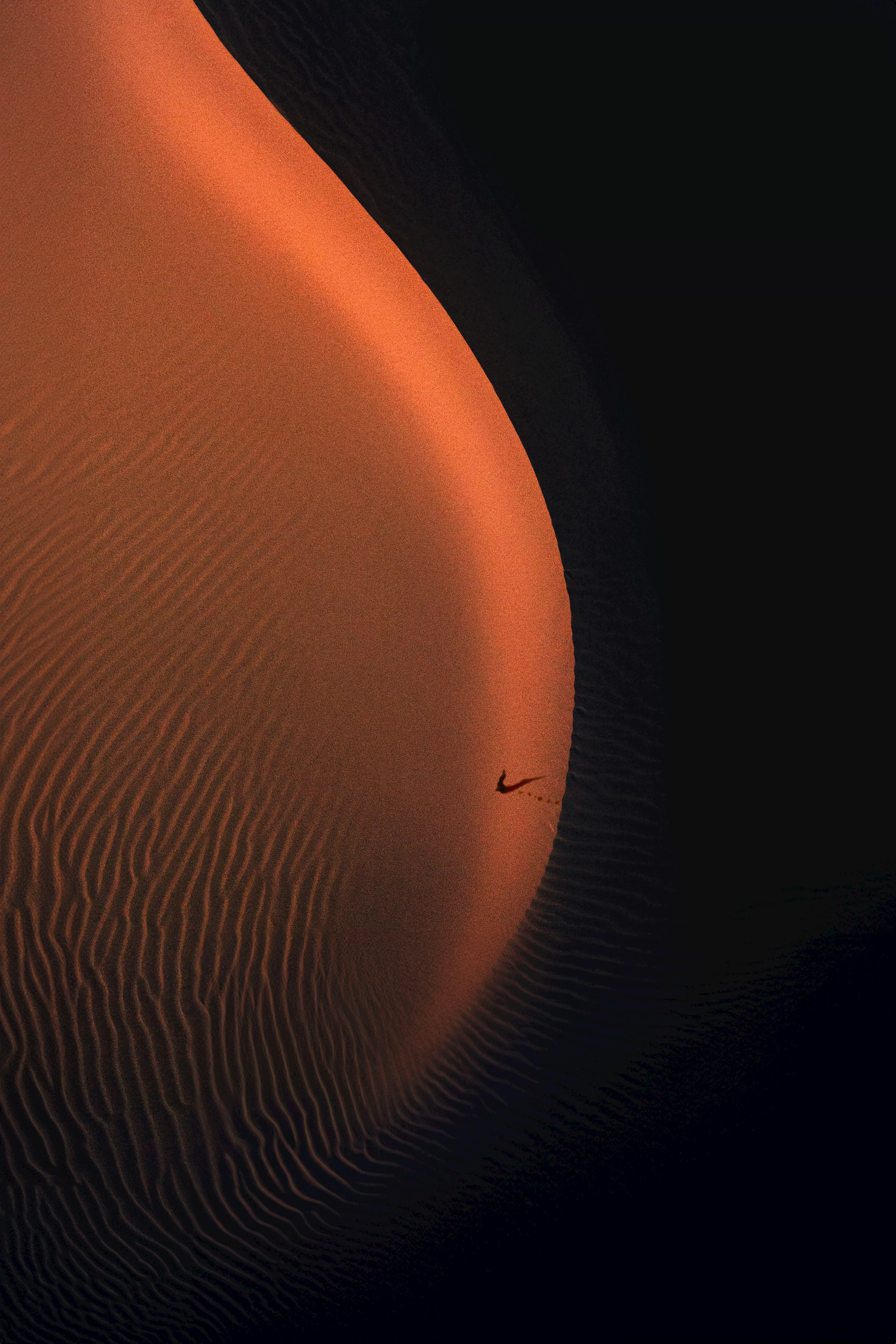 Orange Wallpaper Photo, Download