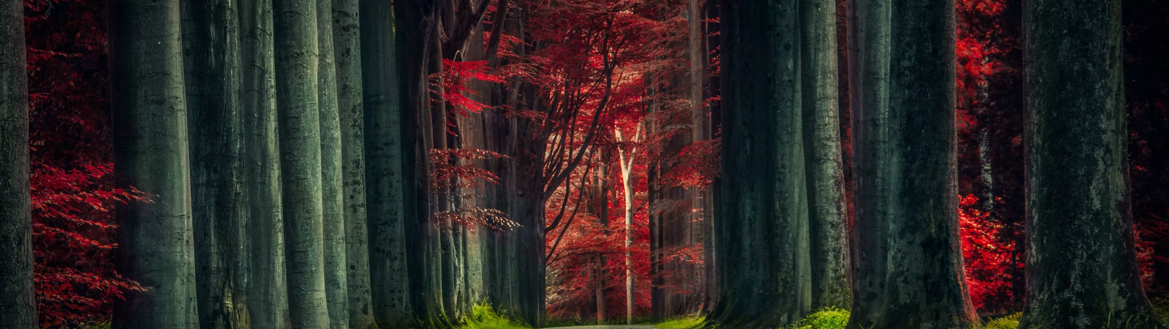 Dual Monitor HD Wallpaperx1080