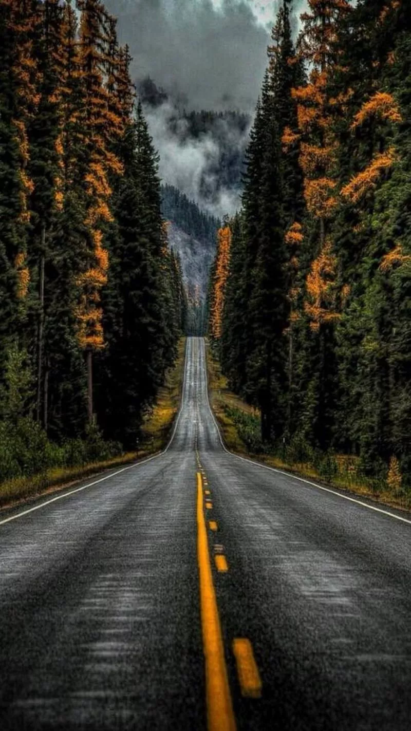 Road, autumn, black, mountain, trees