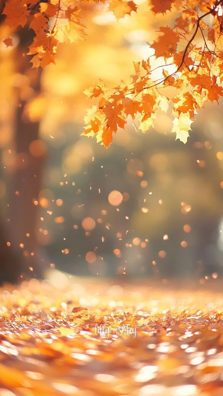 FREE Fall Phone Wallpaper. Cozy Autumn Aesthetic & Nature Scenes