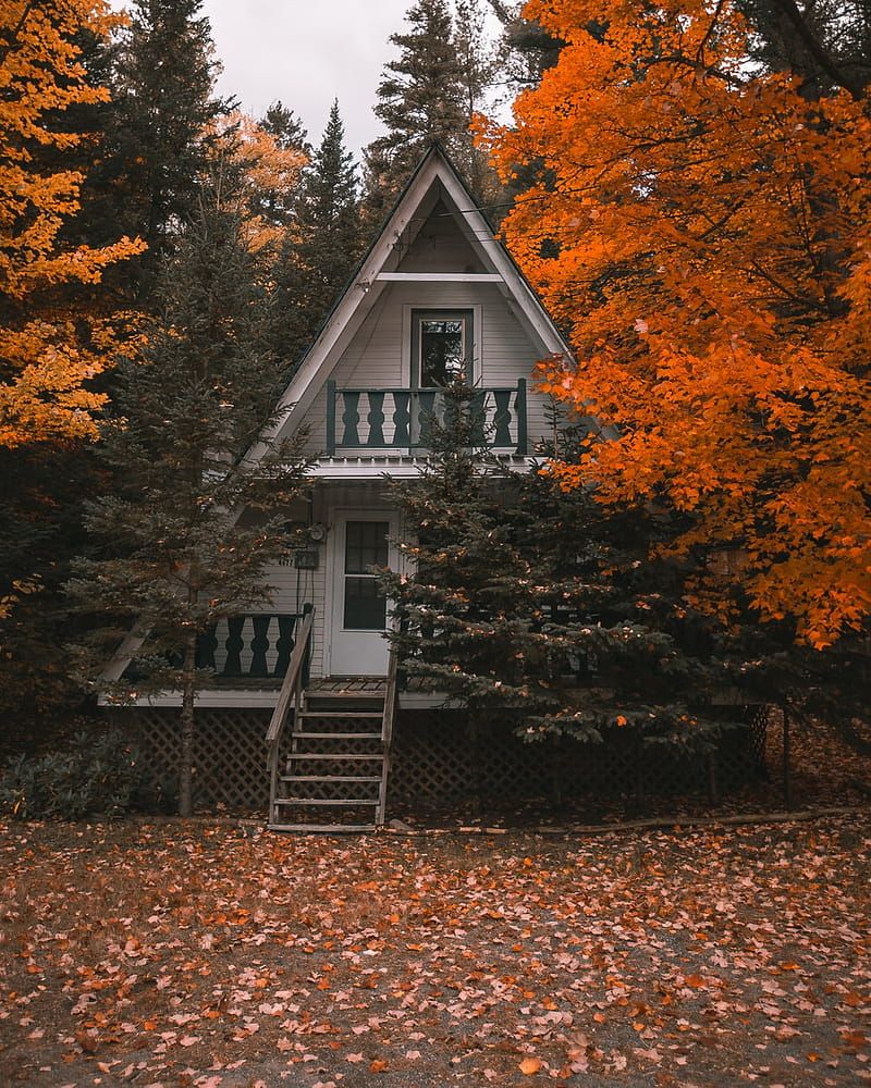Cozy Cabin, Fall Cabin, HD phone wallpaper