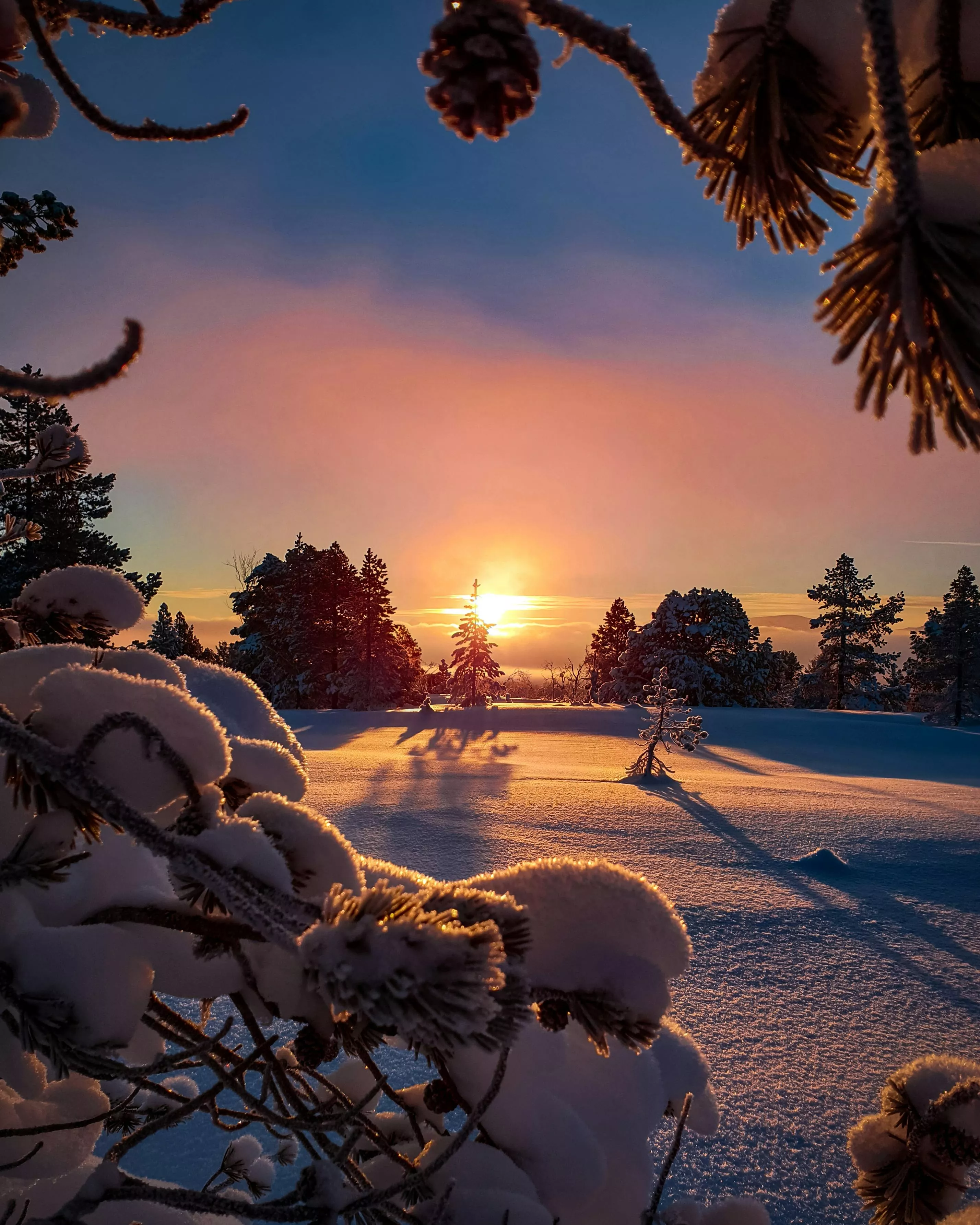 Field Covered With Snow during Sun Rise · Free