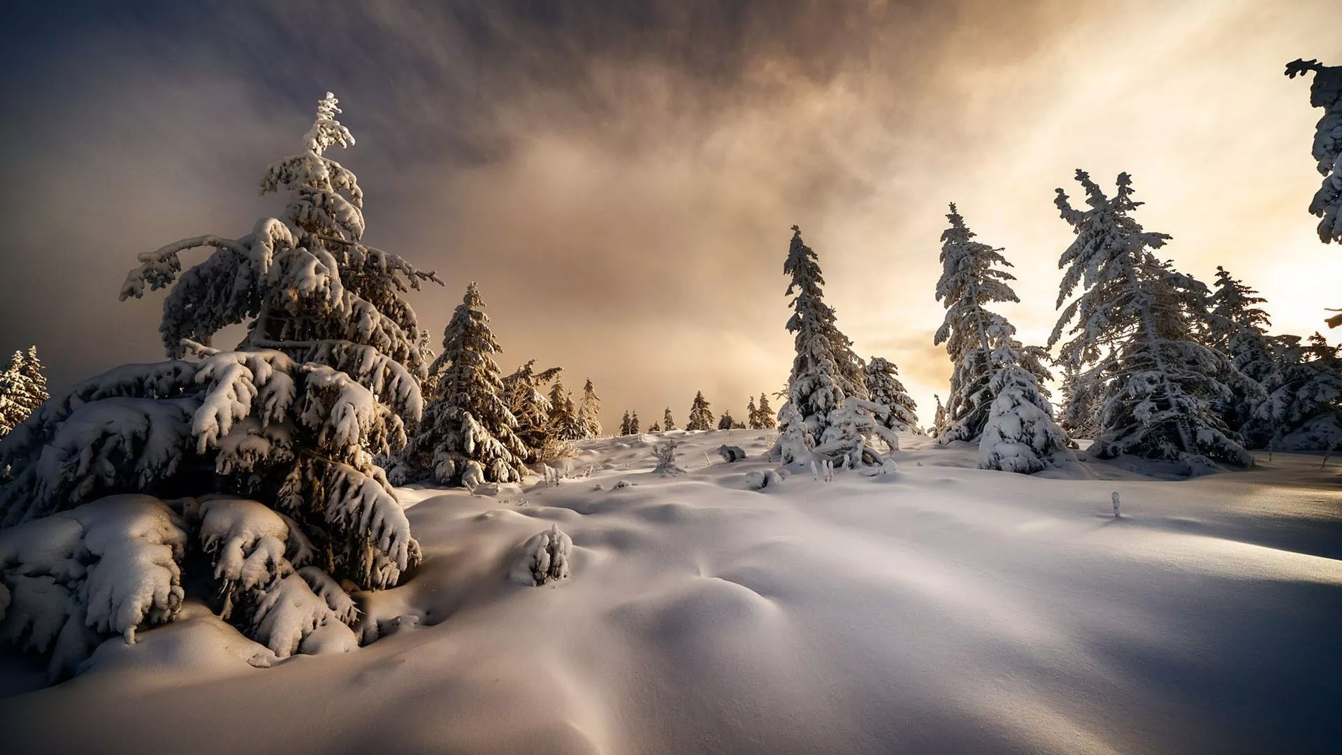 Snow 2025 wallpaper hd