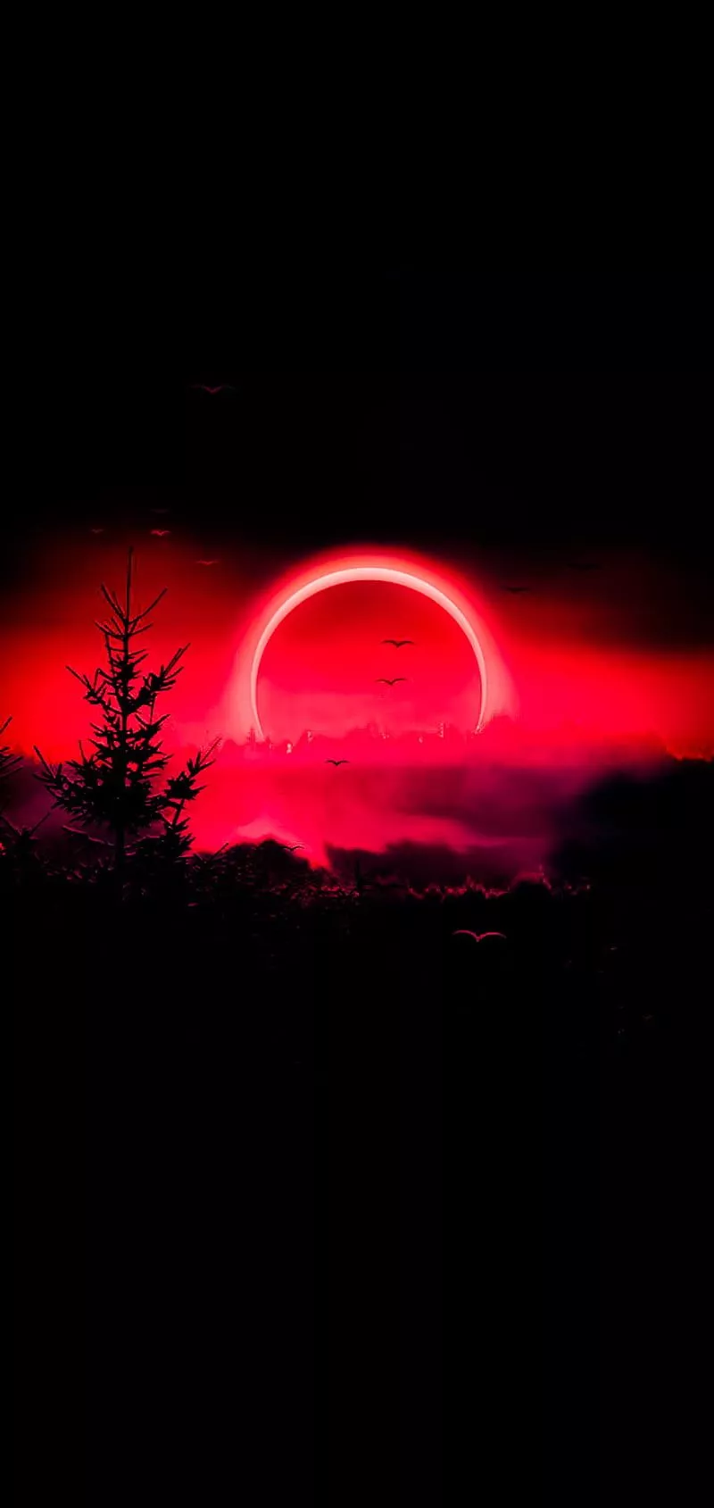 Red sky, vermelho, HD phone wallpaper