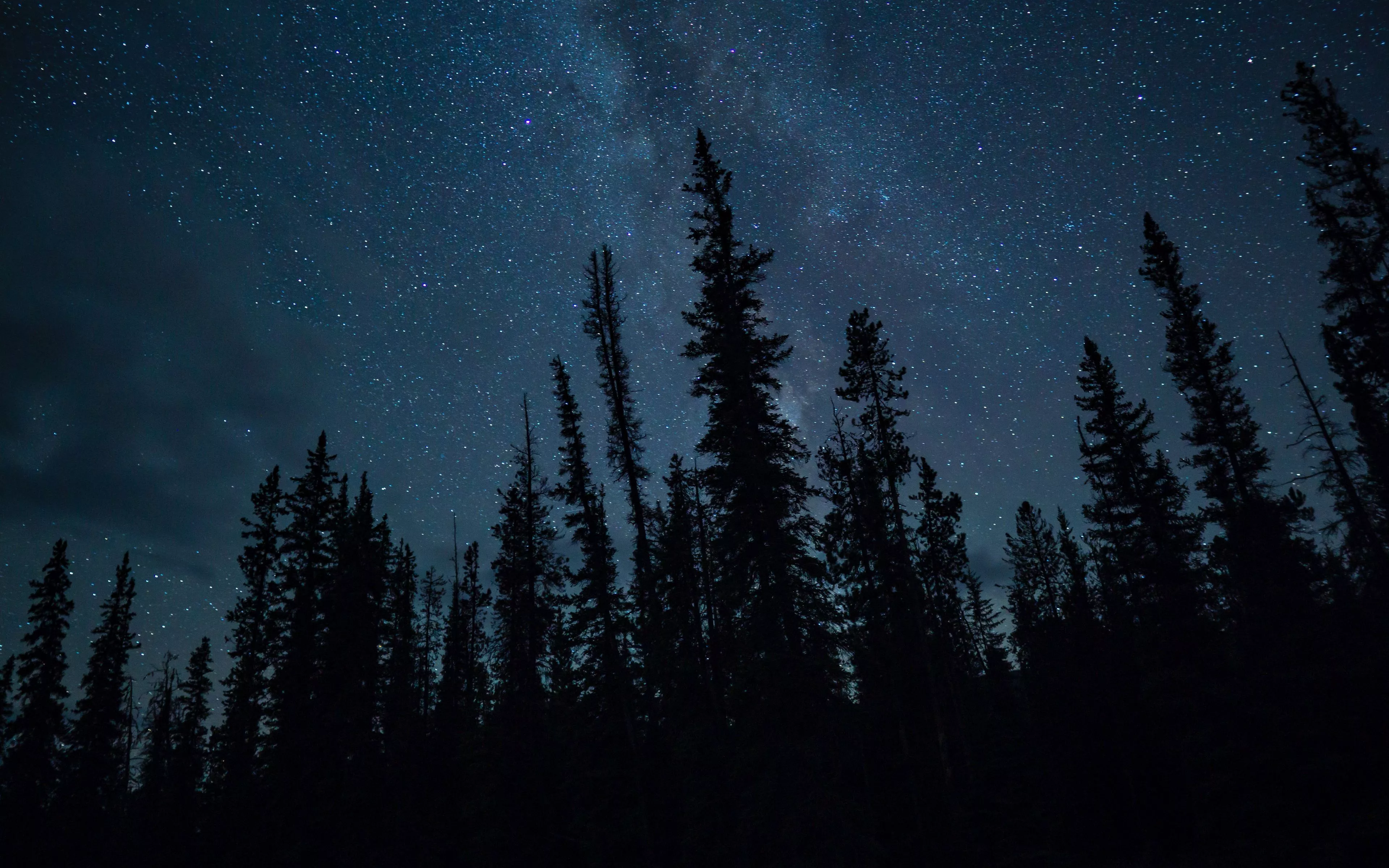 Download wallpaper 3840x2400 trees