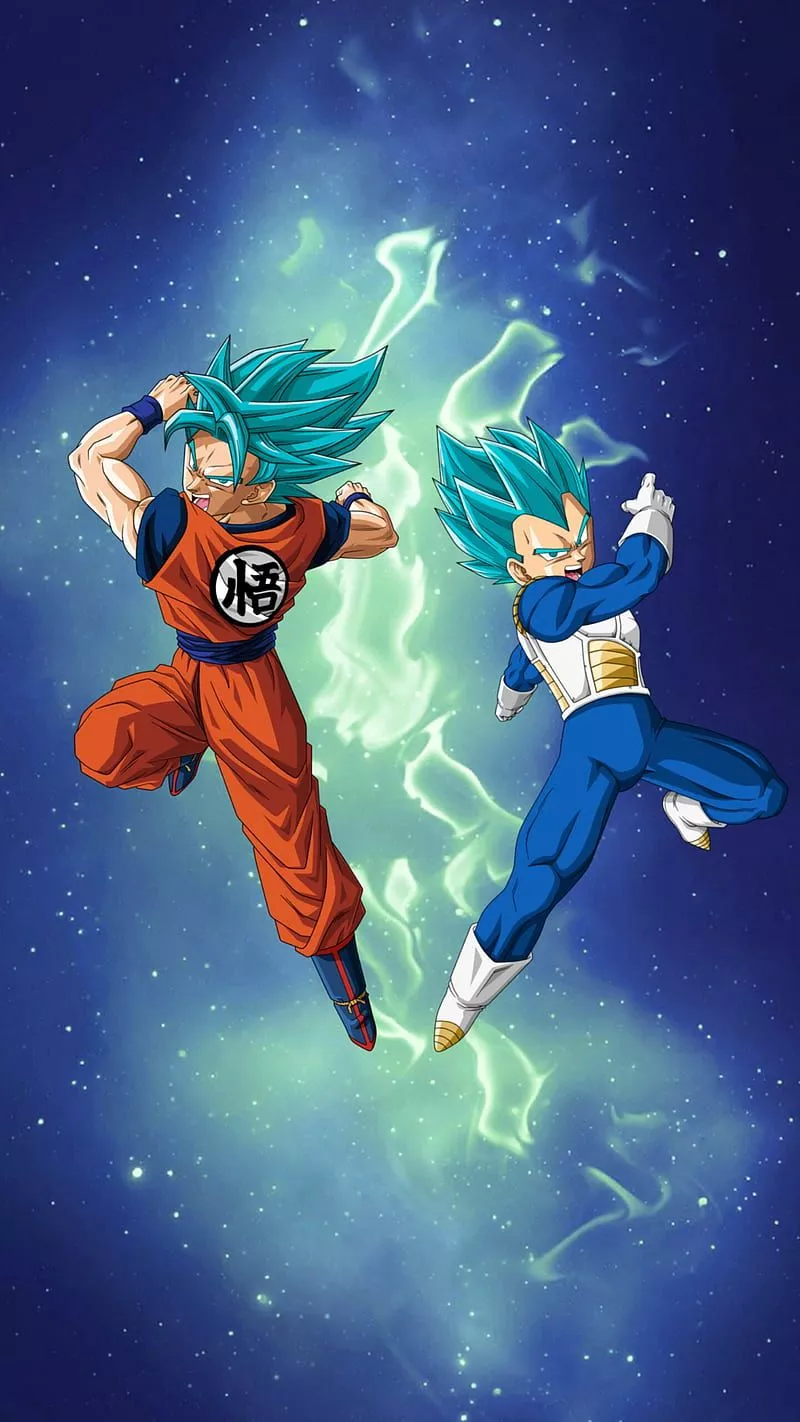 Goku and Vegeta, anime, ball, dragon, ssb, super, HD phone wallpaper