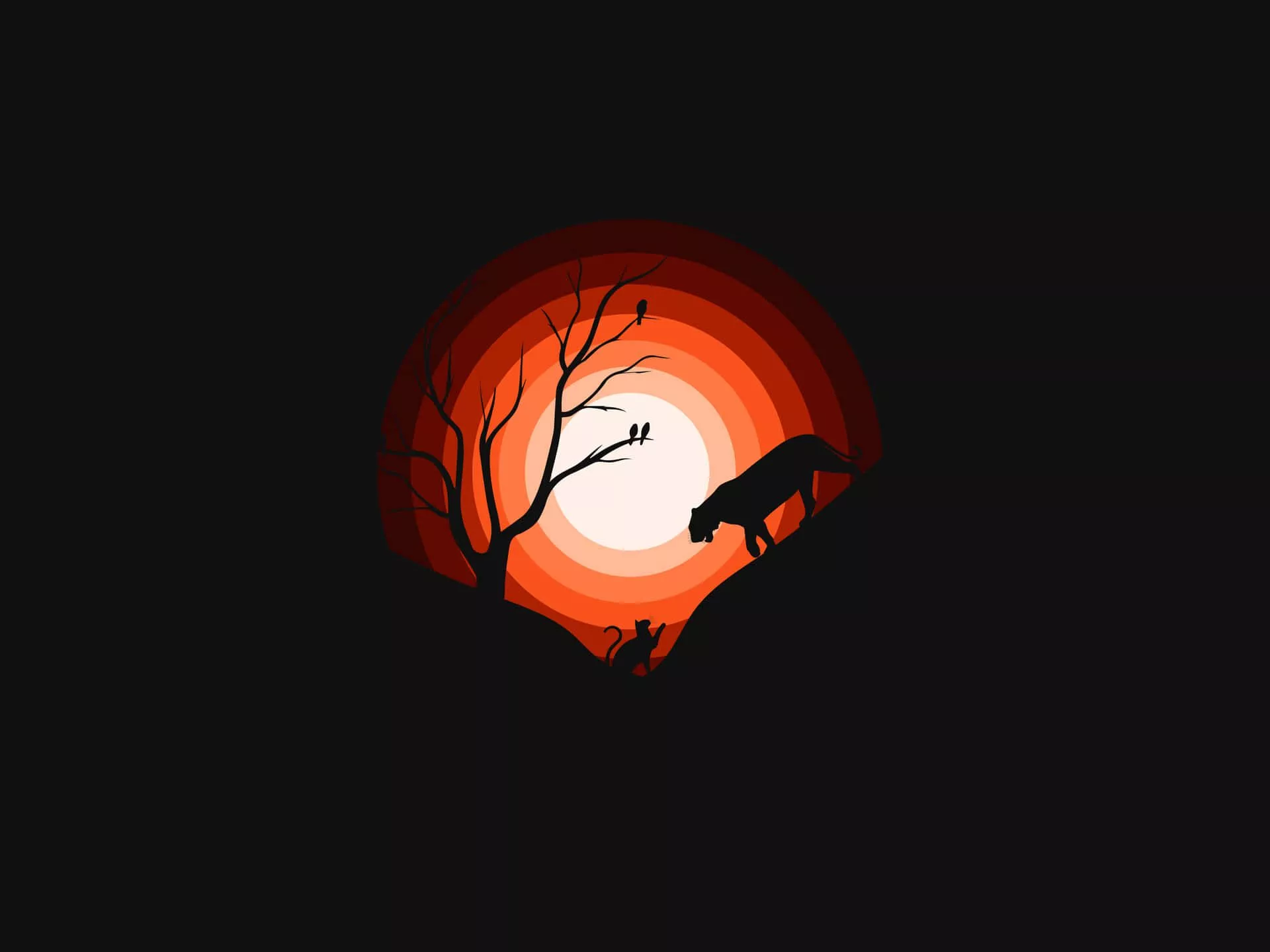 Black And Orange Background