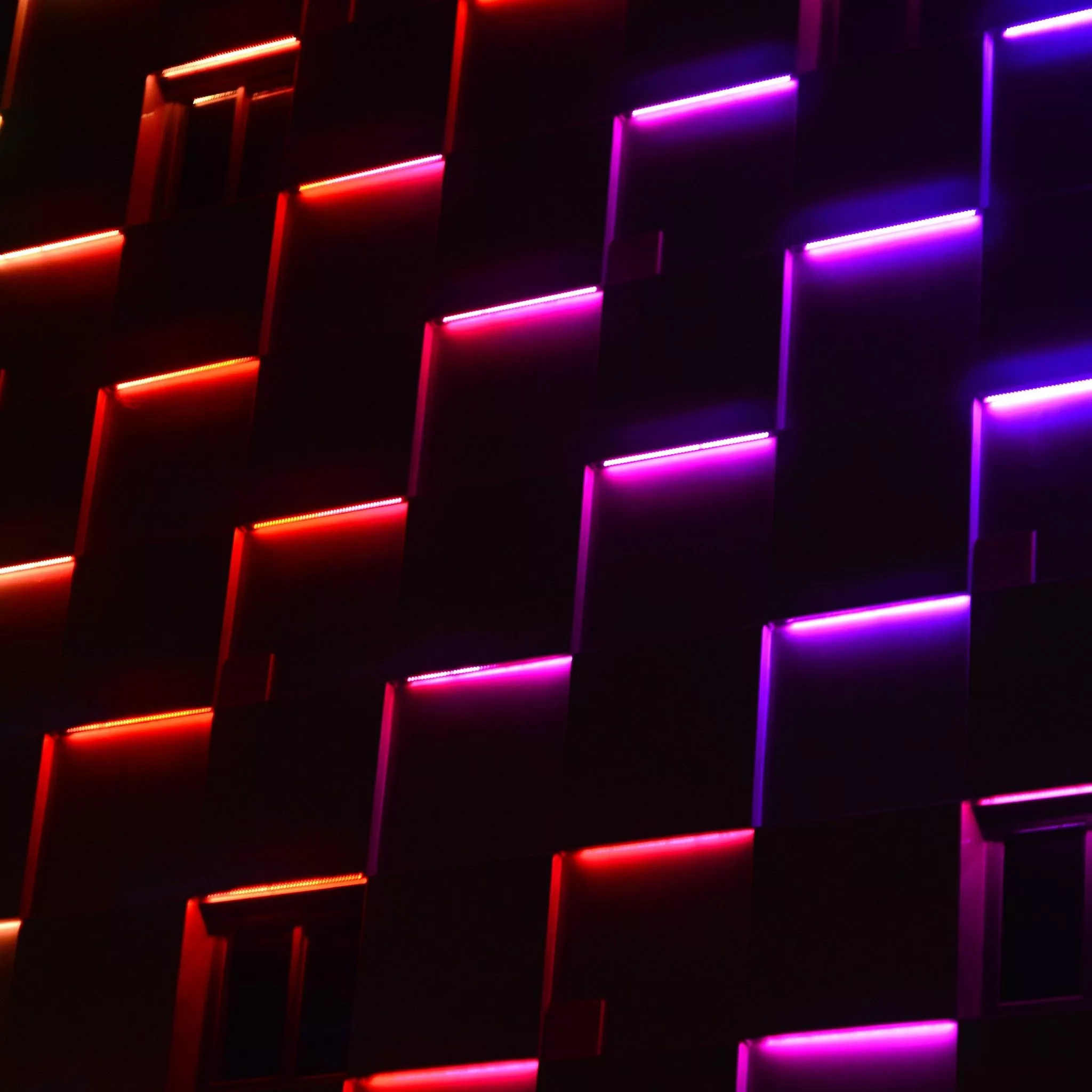 Neon Night Lights 5K Wallpaper. HD