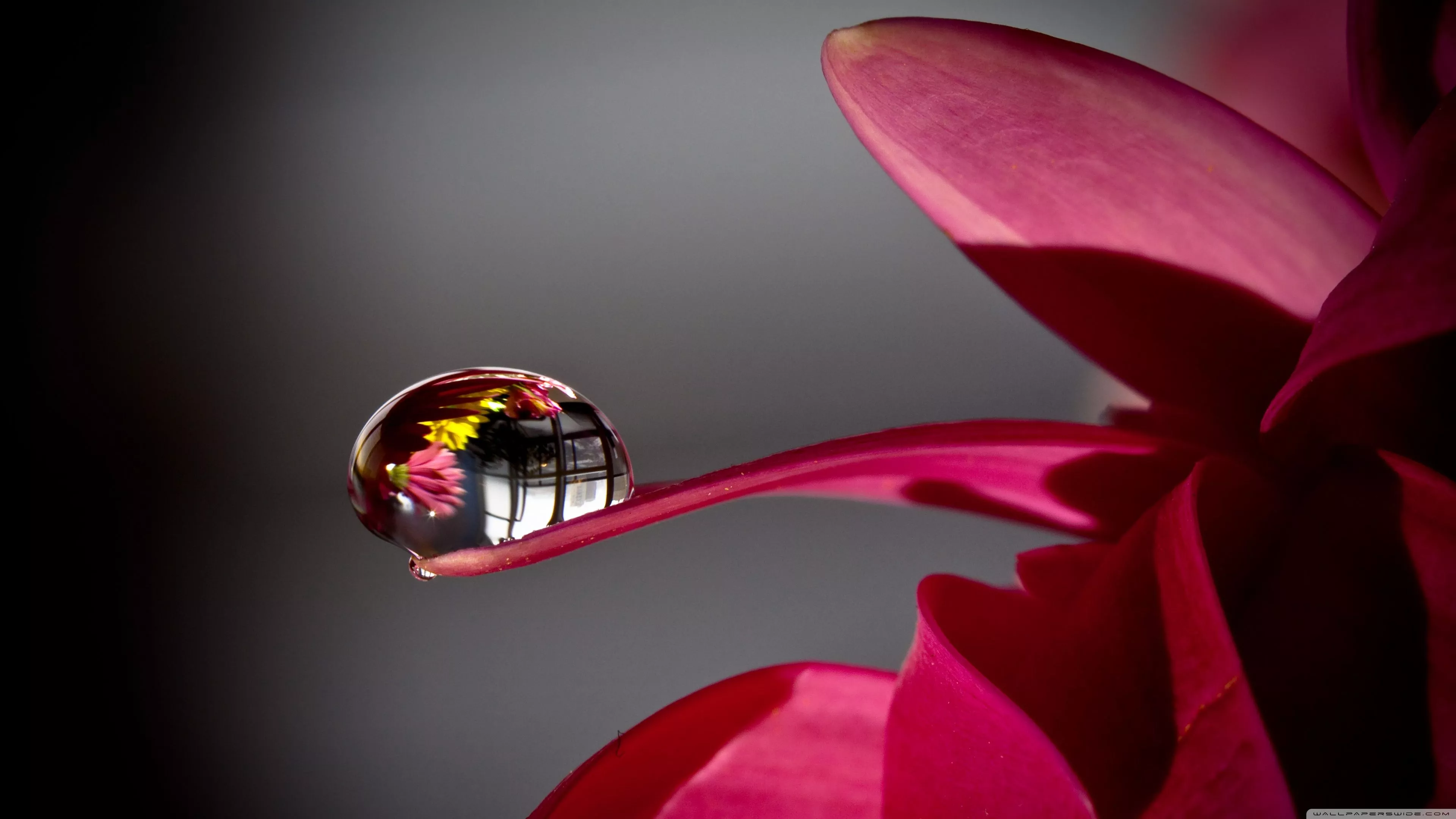 Ultra HD Wallpaper for 4K UHD TV