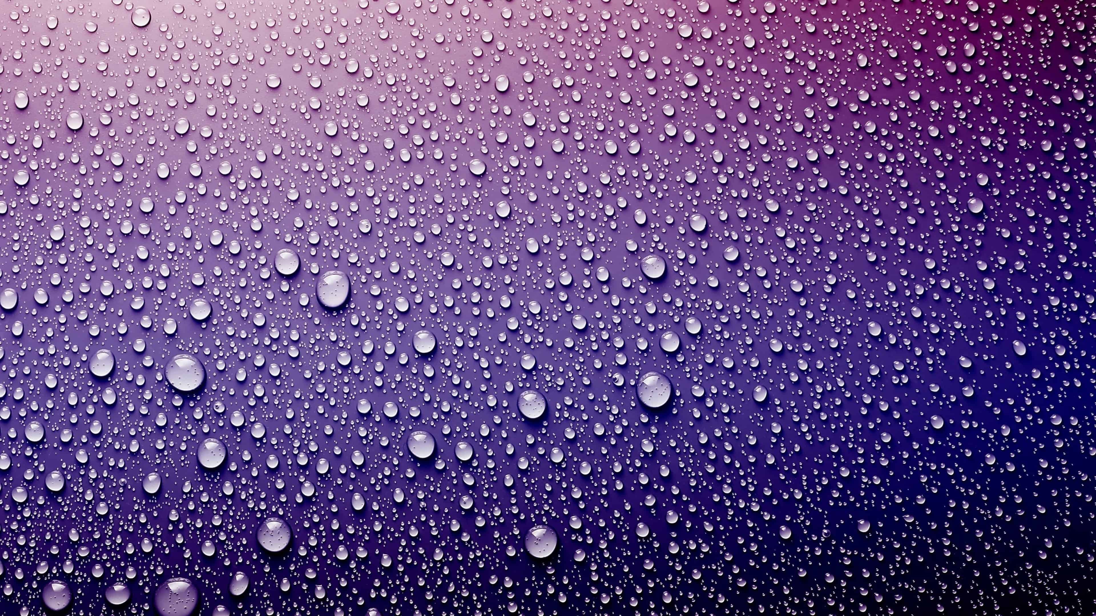 Water Drops On Purple Surface UHD 4K