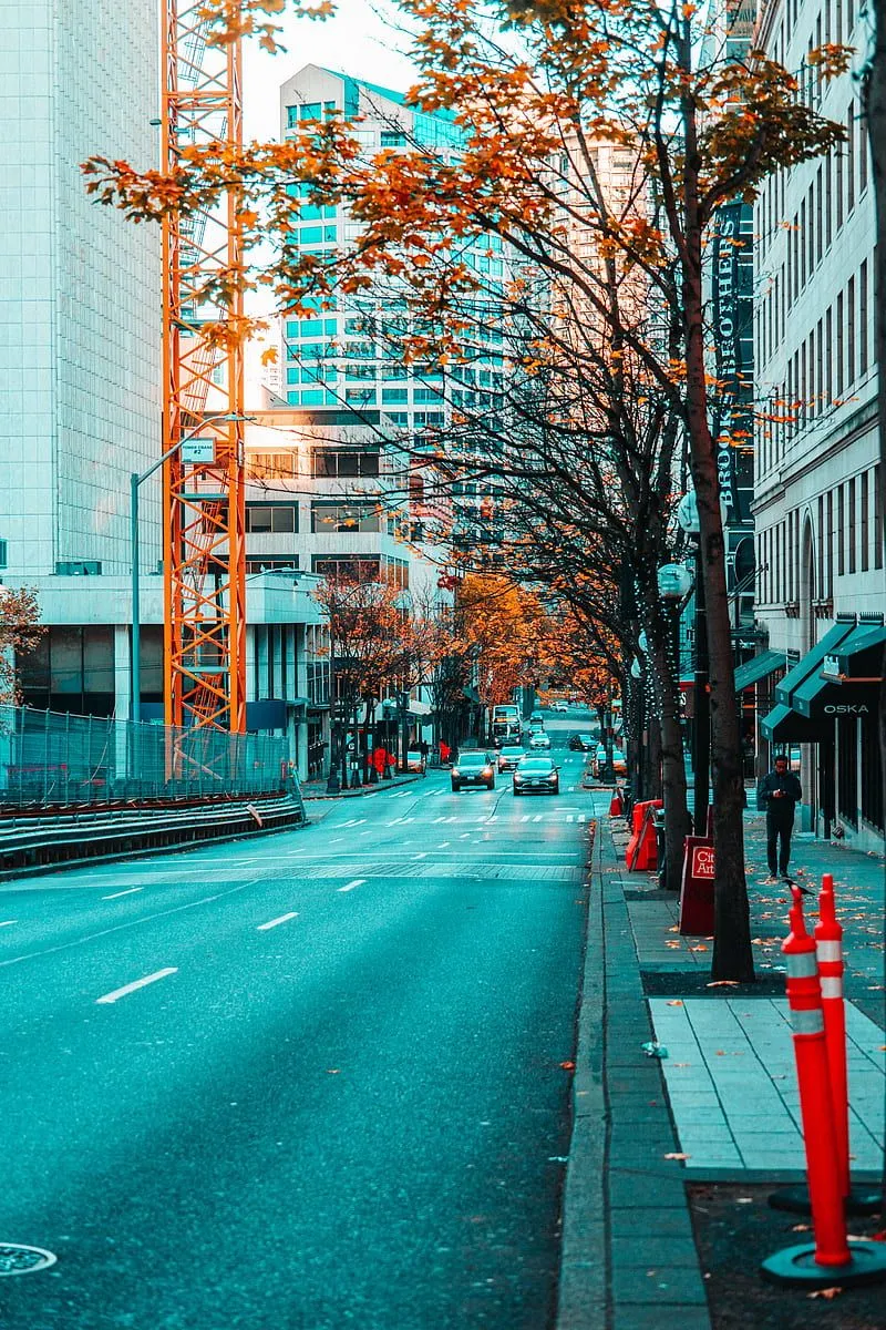 City, street, buildings, traffic, road, asphalt, HD phone wallpaper