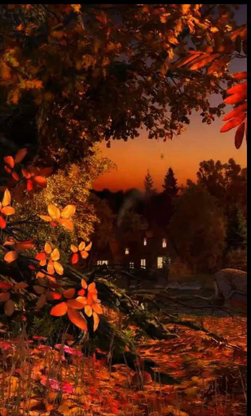 Autumn Nights, season, tree, HD phone wallpaper