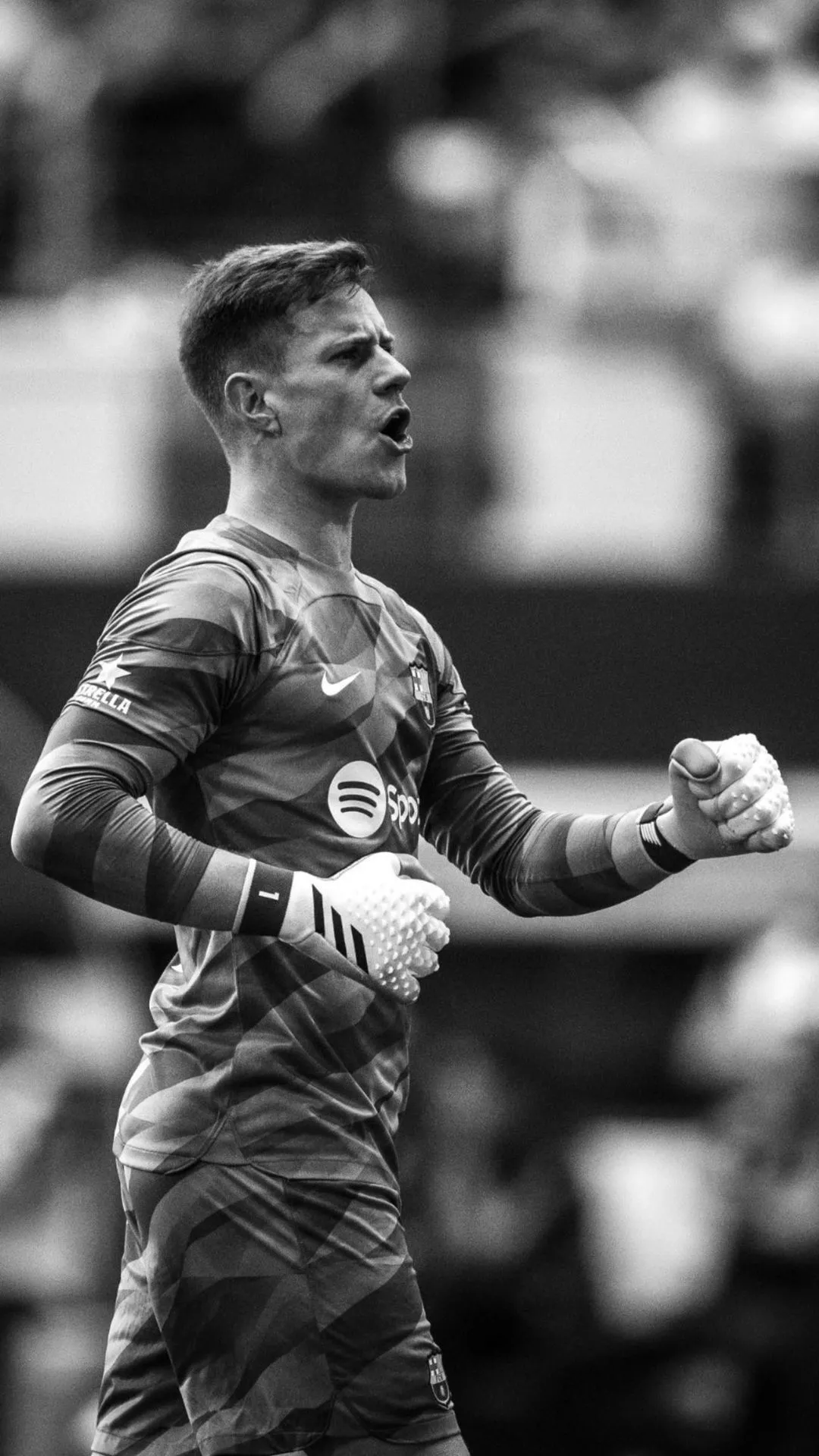 football wallpaper, football, goalkeeper