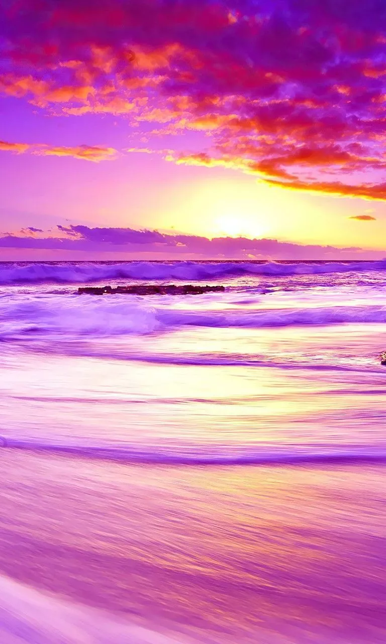 Purple Beach Sunset 4K HD Wallpaper