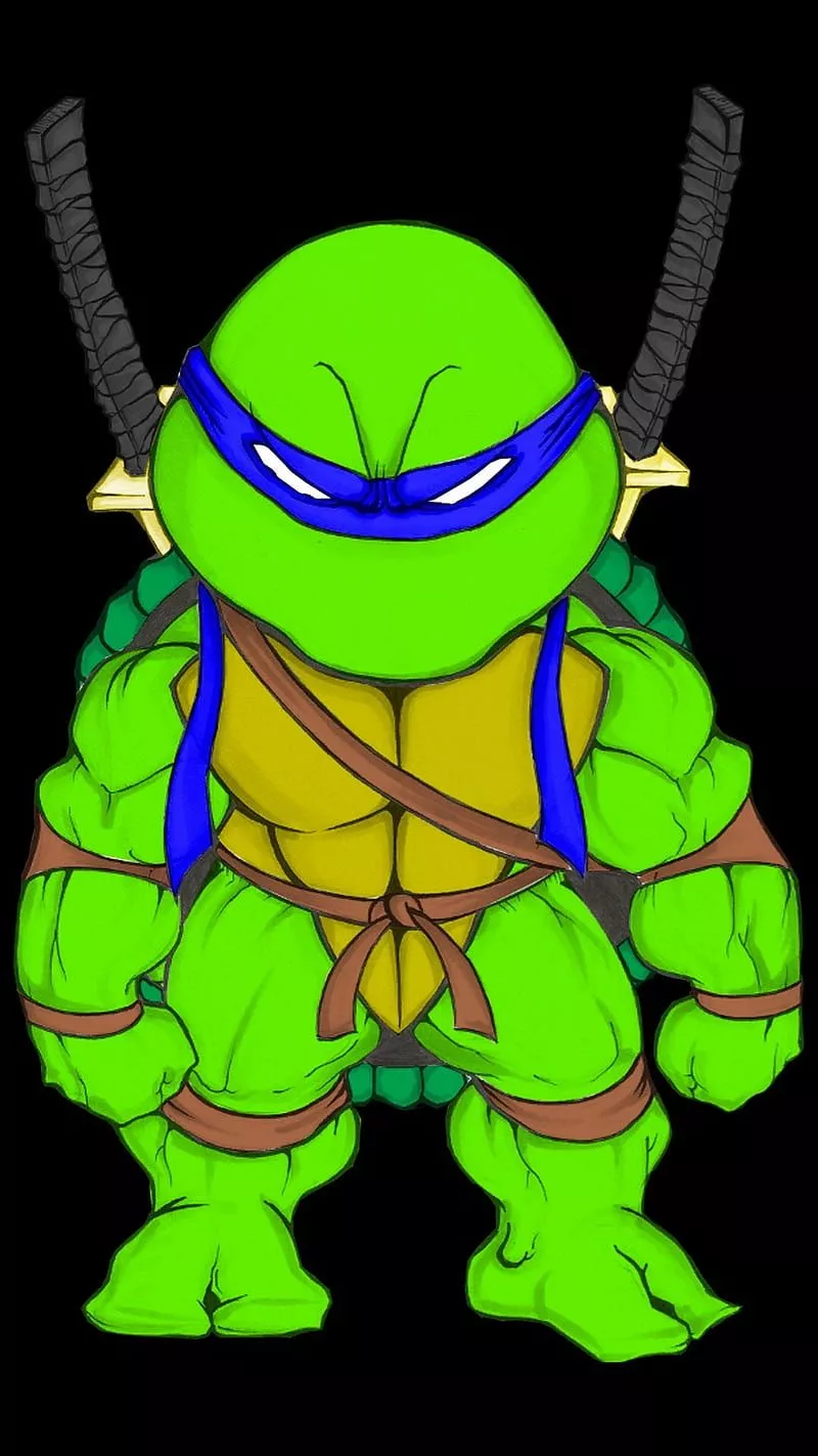 Leo, ninja, tmnt, turtles, HD phone