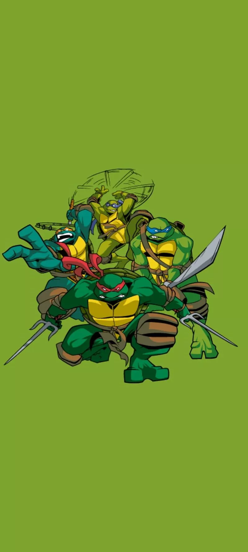 Leonardo, ninja, turtles, HD phone